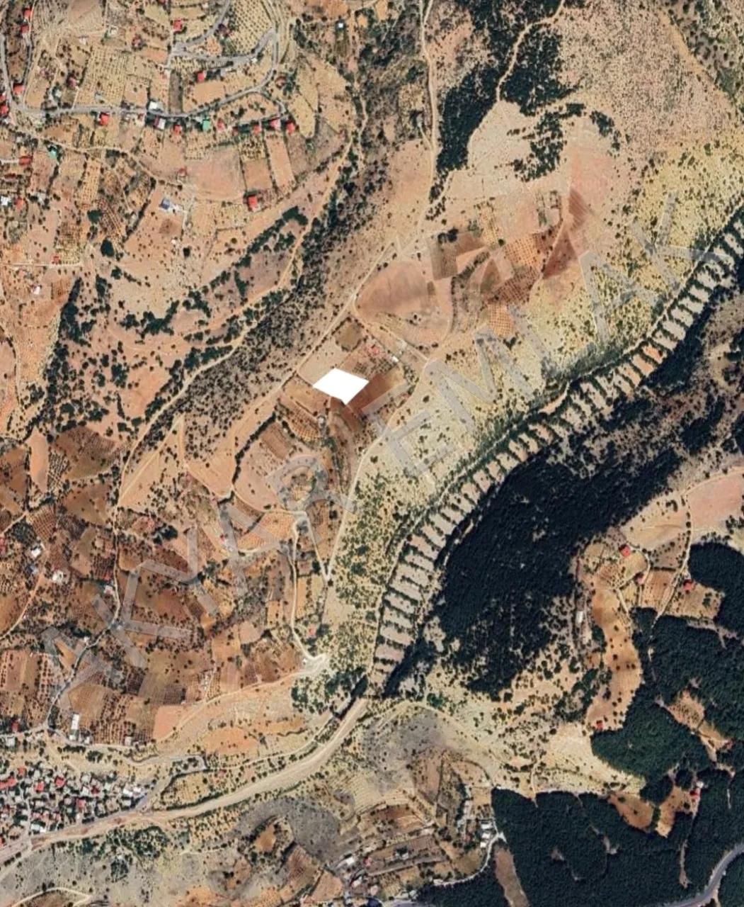 AKYAR EMLAK'DAN DERELİ'DE 3 DÖNÜM SEYRANGAHLIK ARAZİ — 3
