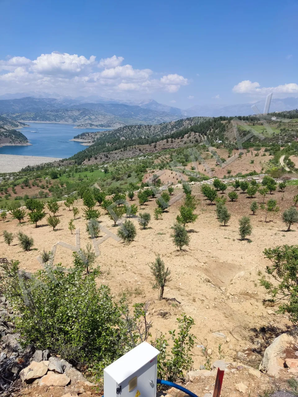 AKYAR EMLAK'DAN SARIÇUKUR'DA BARAJ MANZARALI BAĞ YERİ — 6