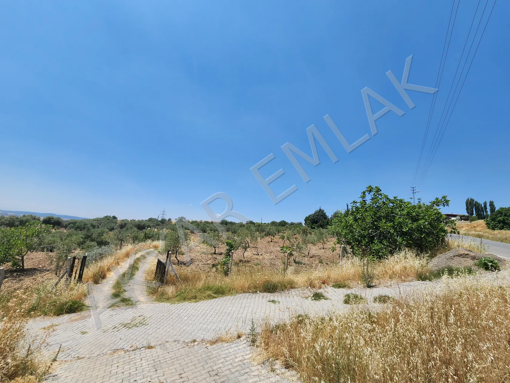 AKYAR EMLAK'DAN PEYNİRDERE YOLUNA SIFIR 8000 M² ARAZİ — 20