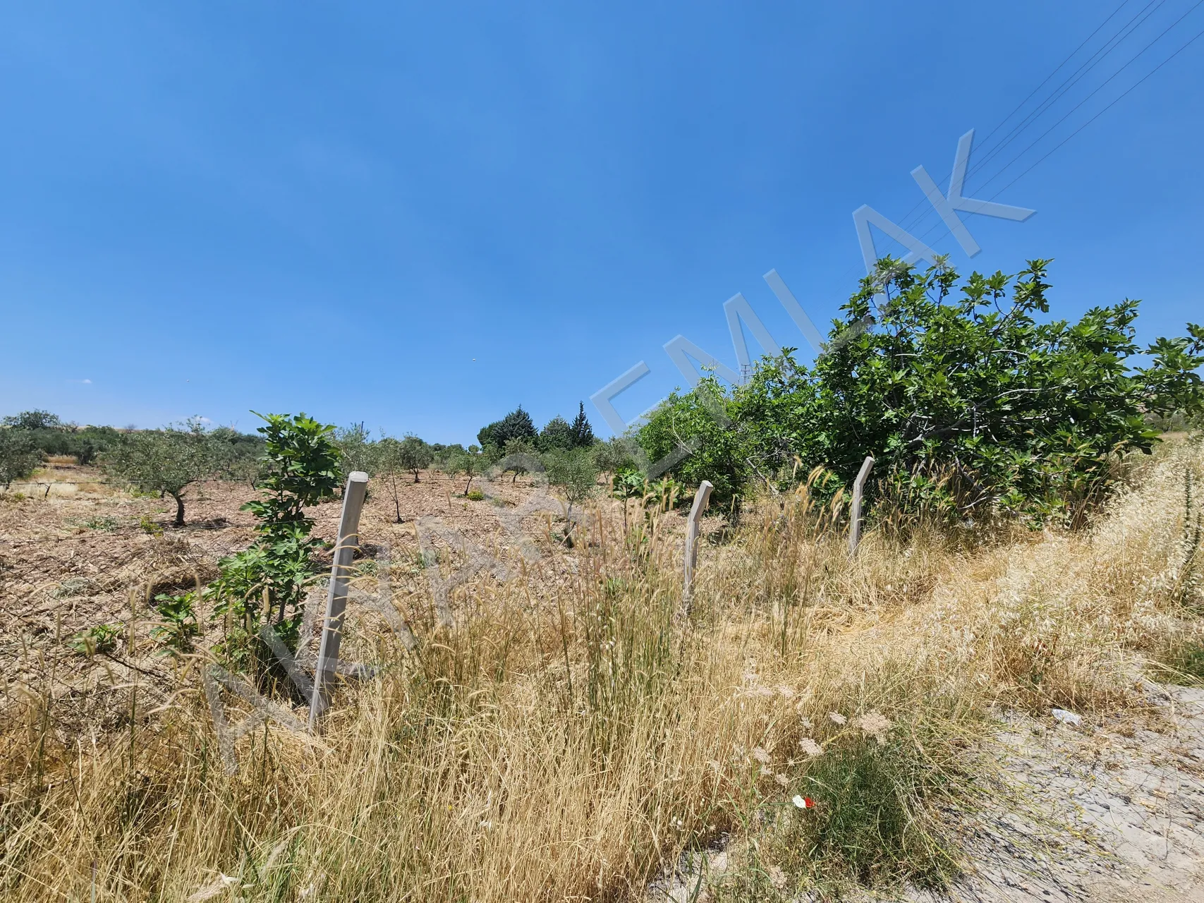 AKYAR EMLAK'DAN PEYNİRDERE YOLUNA SIFIR 8000 M² ARAZİ — 17