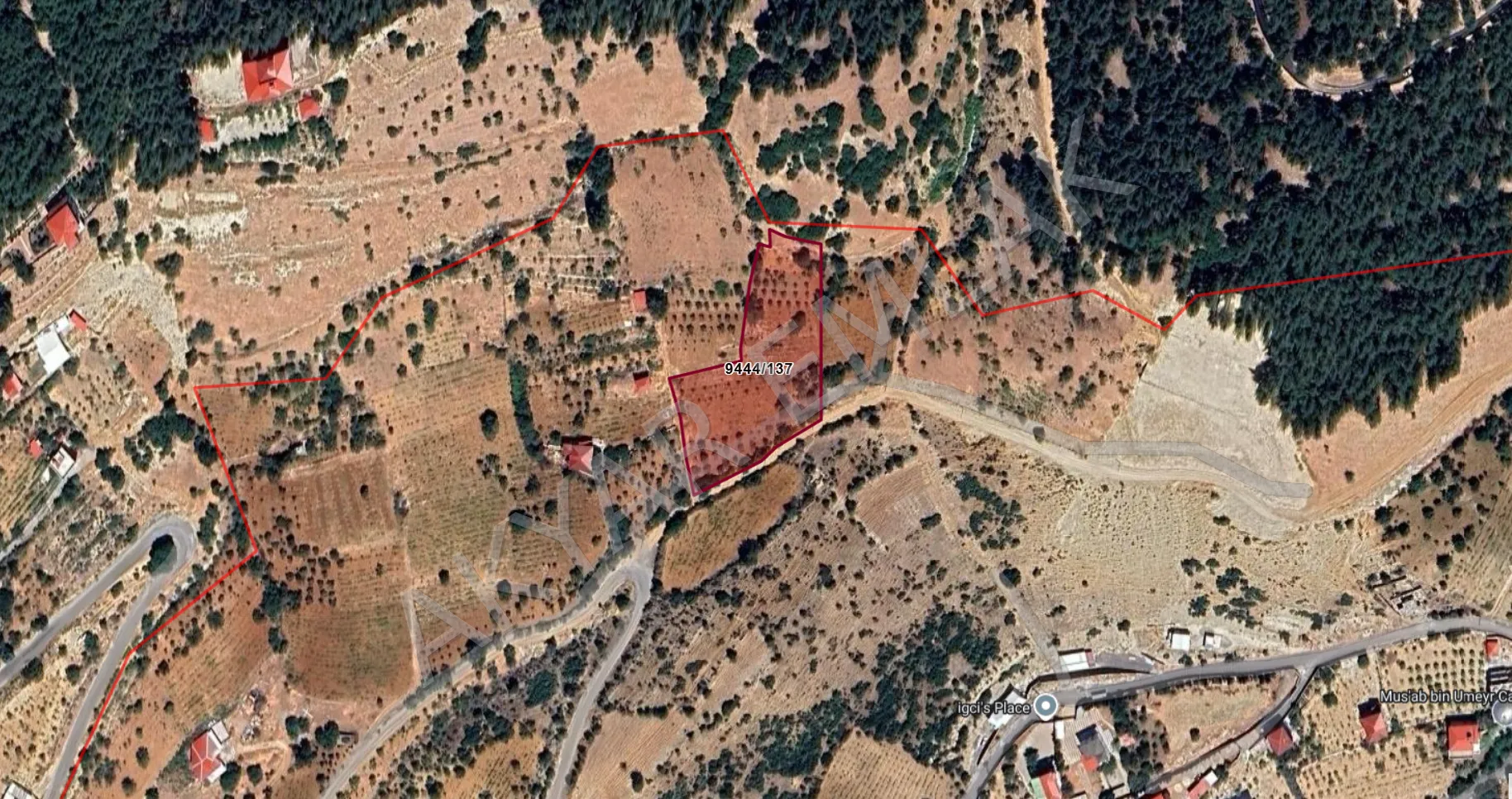 AKYAR EMLAK'DAN DERELİ MEVKİİ SATILIK BAĞ 1.562 M2 — 5