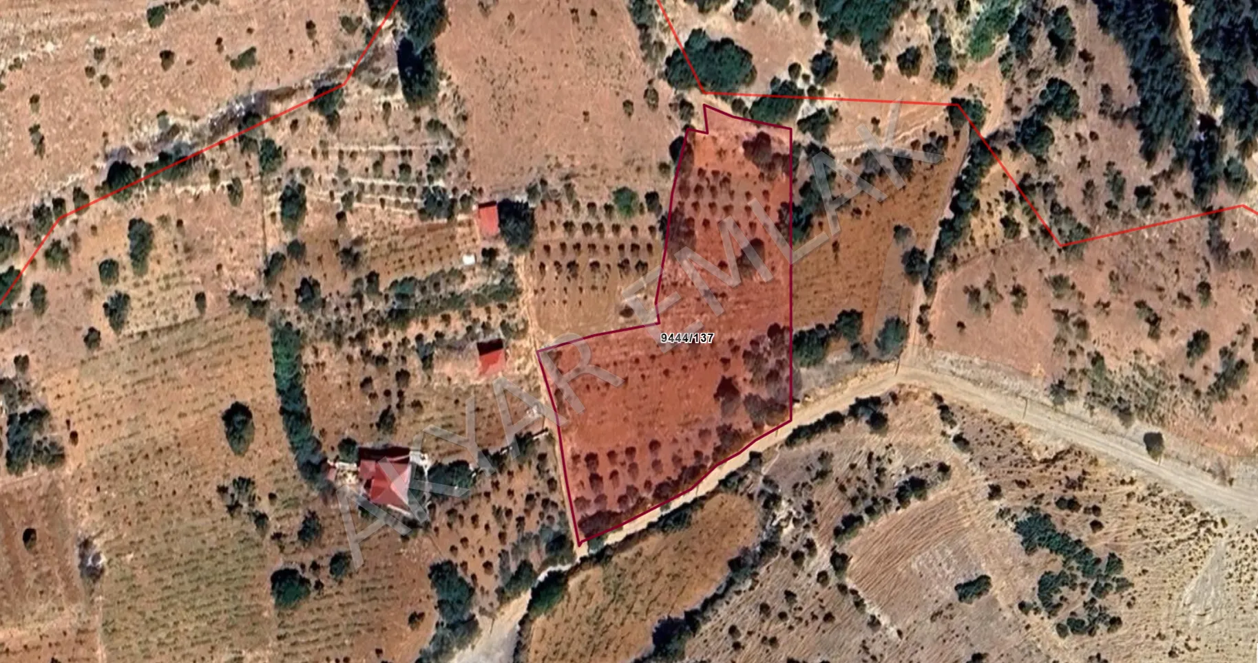 AKYAR EMLAK'DAN DERELİ MEVKİİ SATILIK BAĞ 1.562 M2 — 1