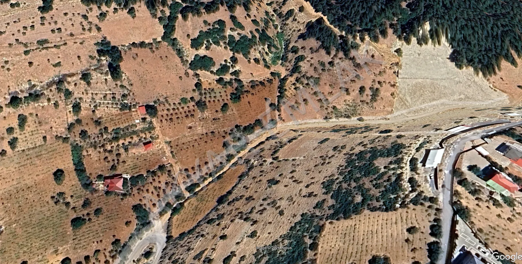 AKYAR EMLAK'DAN DERELİ MEVKİİ SATILIK BAĞ 1.562 M2 — 3