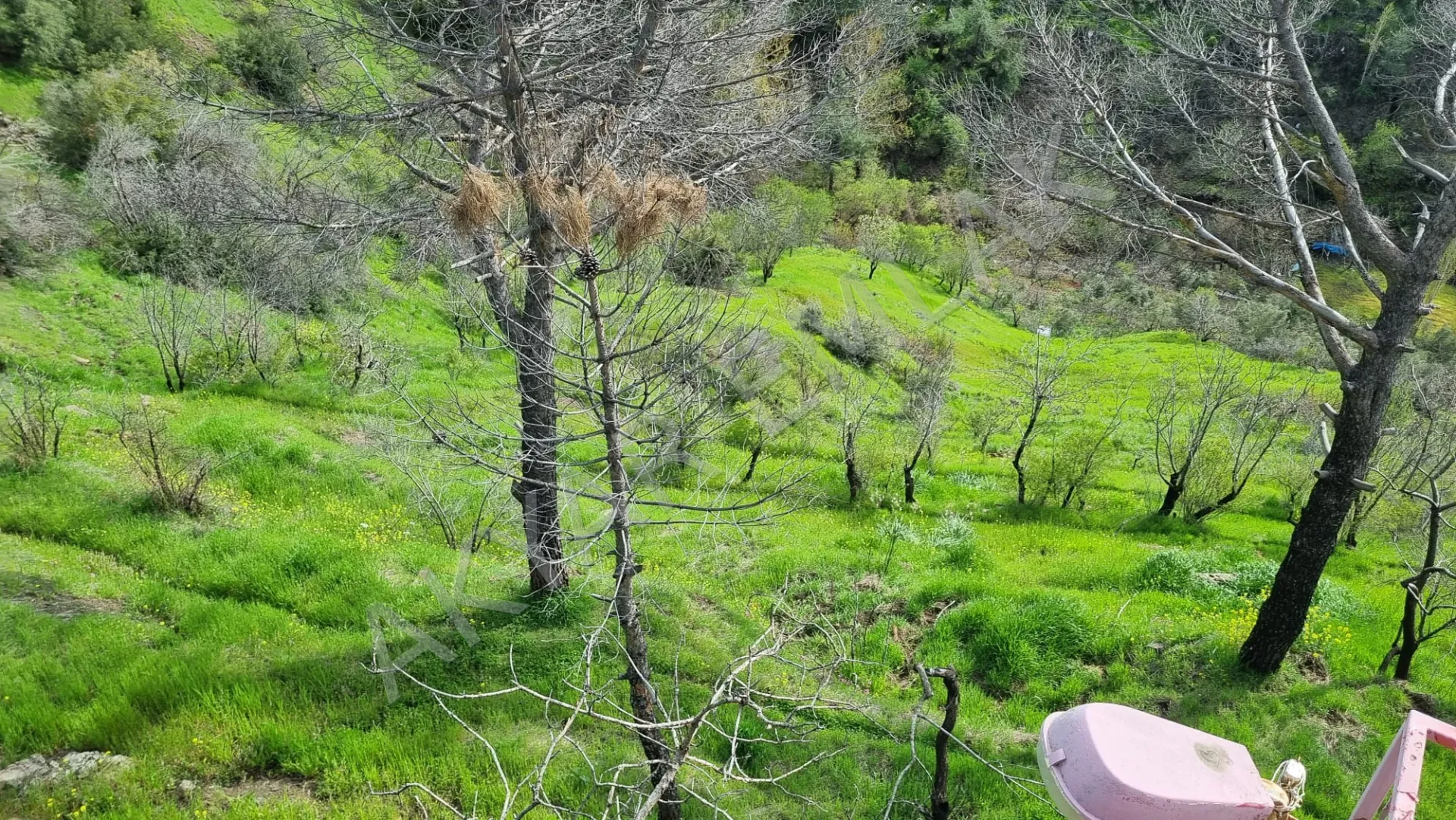 AKYAR EMLAK'dan Kazmada 8200 M2 Satılık Villa Bağ yeri — 15