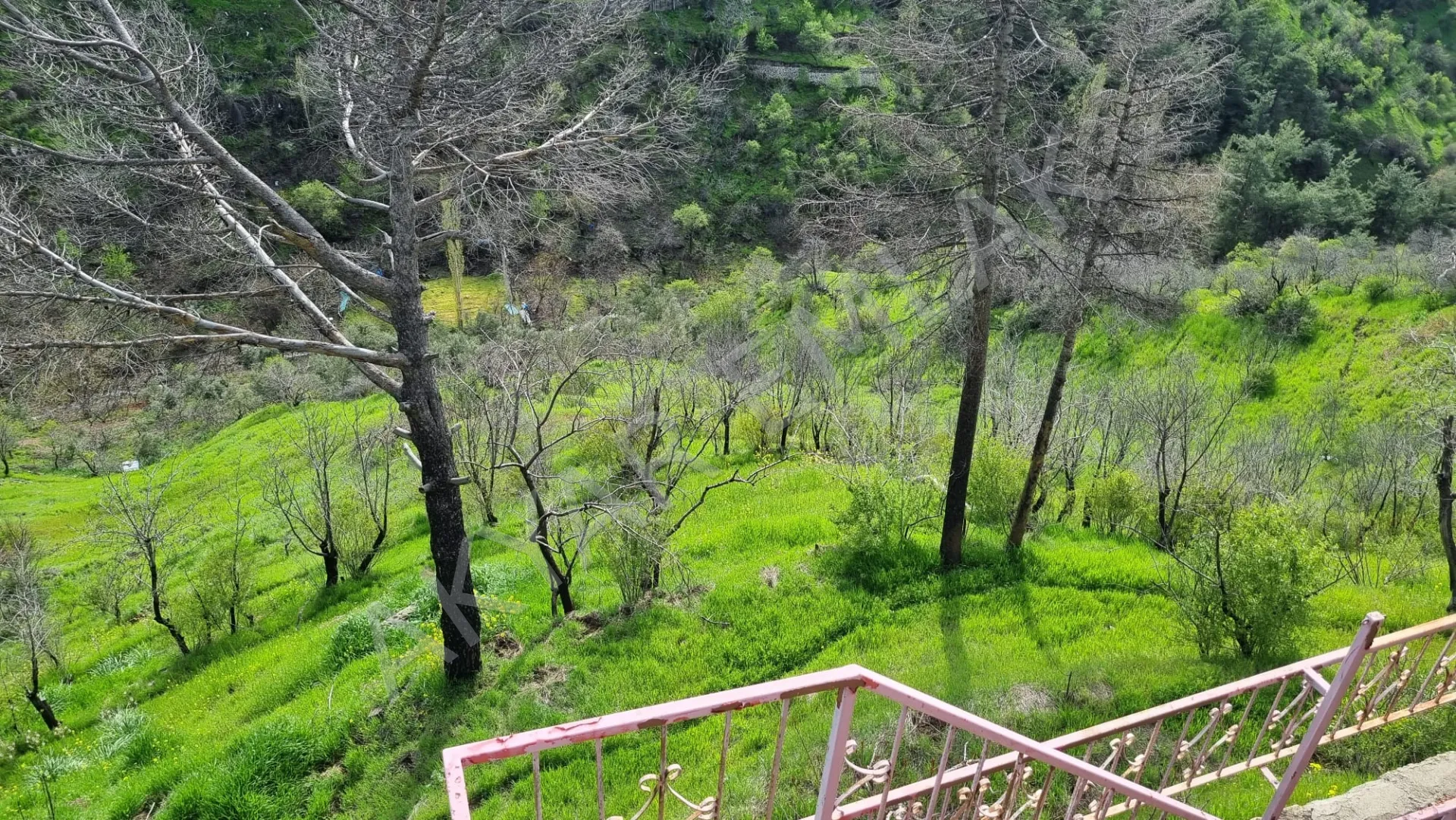 AKYAR EMLAK'dan Kazmada 8200 M2 Satılık Villa Bağ yeri — 12