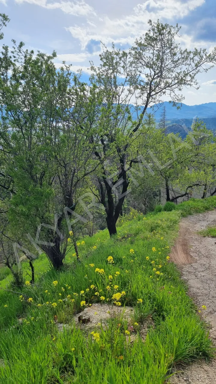 AKYAR EMLAK'dan Kazmada 8200 M2 Satılık Villa Bağ yeri — 2