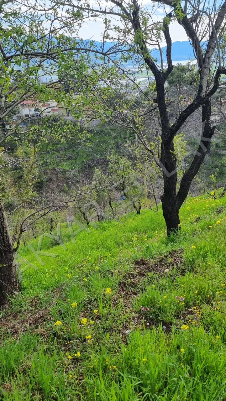 AKYAR EMLAK'dan Kazmada 8200 M2 Satılık Villa Bağ yeri — 6