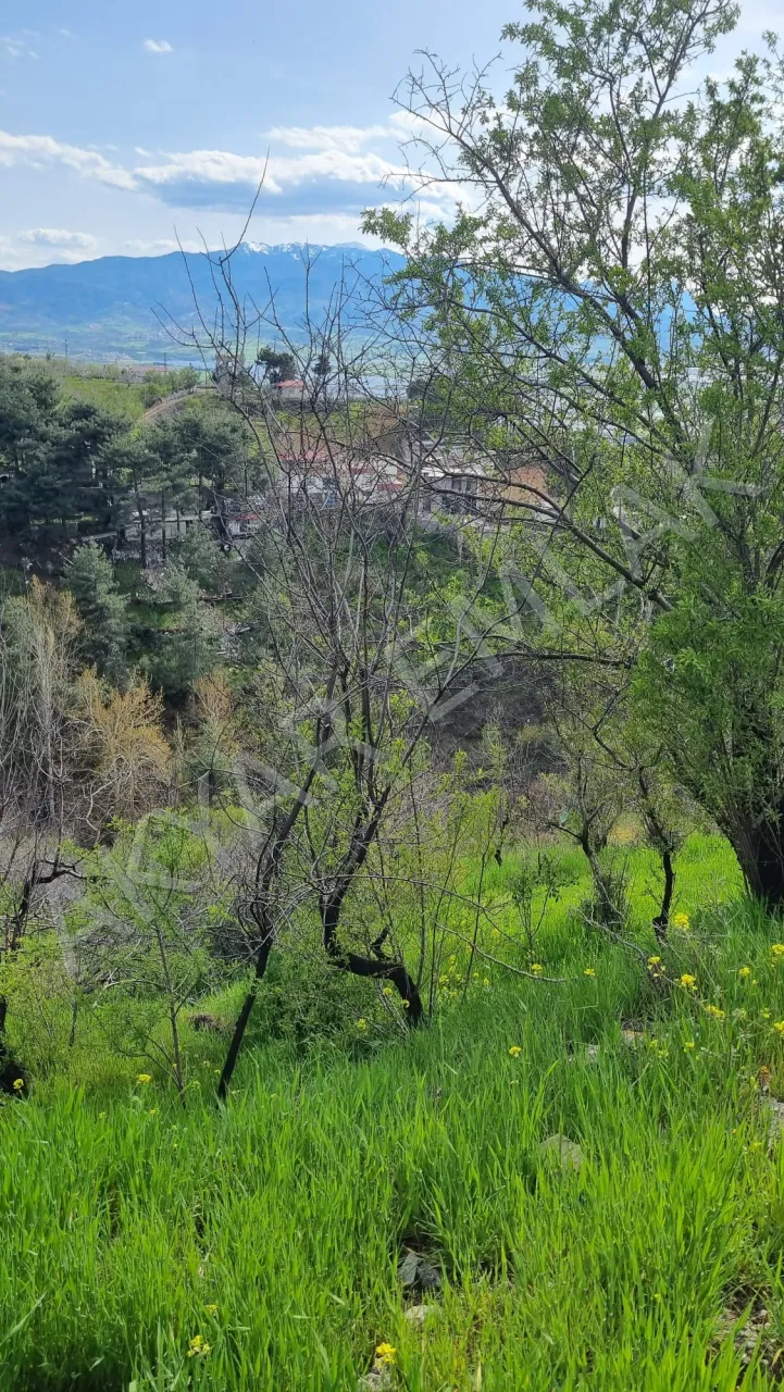 AKYAR EMLAK'dan Kazmada 8200 M2 Satılık Villa Bağ yeri — 8