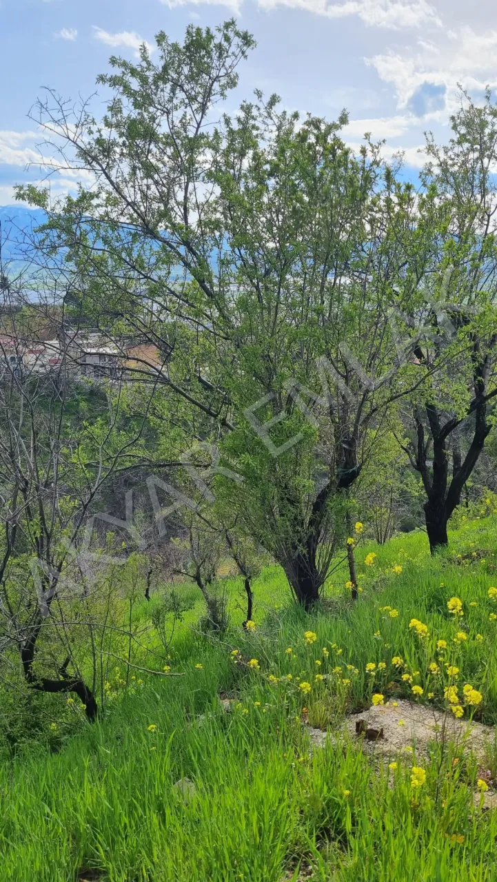 AKYAR EMLAK'dan Kazmada 8200 M2 Satılık Villa Bağ yeri — 11