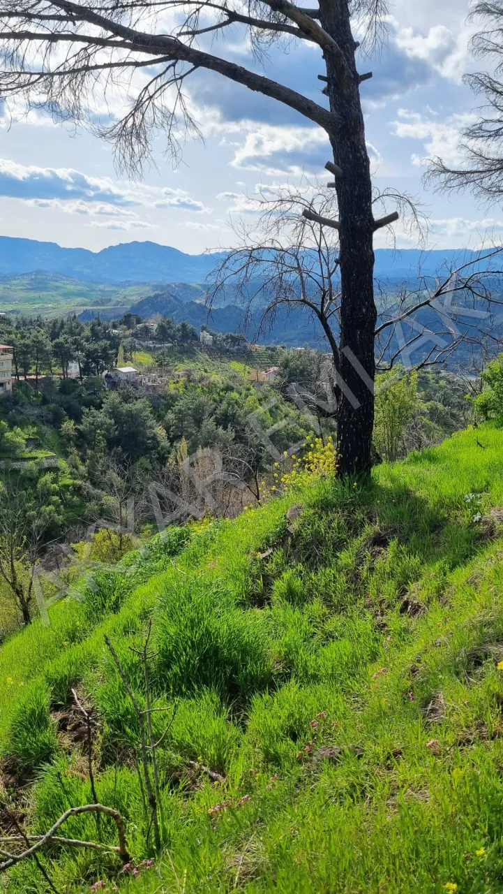 AKYAR EMLAK'dan Kazmada 8200 M2 Satılık Villa Bağ yeri — 7