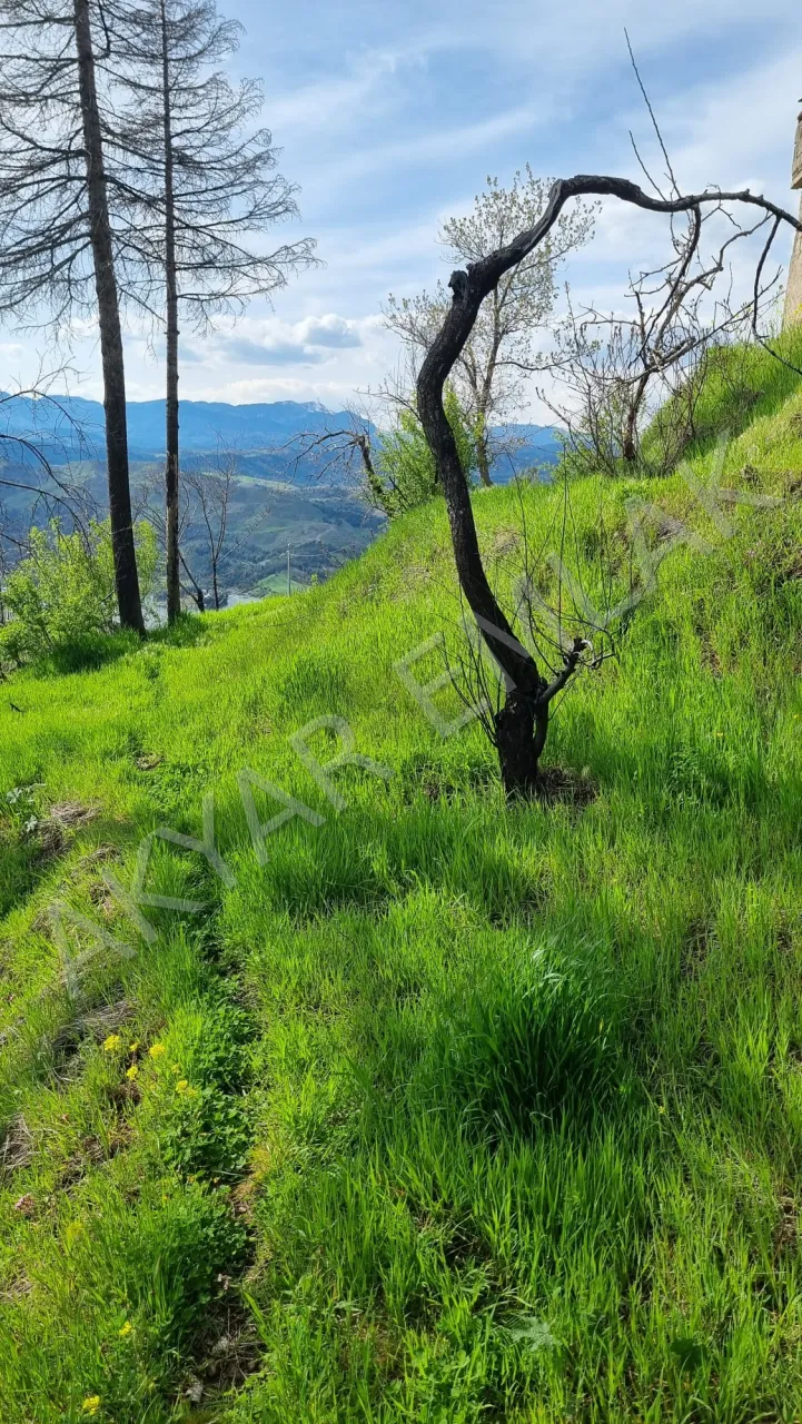 AKYAR EMLAK'dan Kazmada 8200 M2 Satılık Villa Bağ yeri — 9