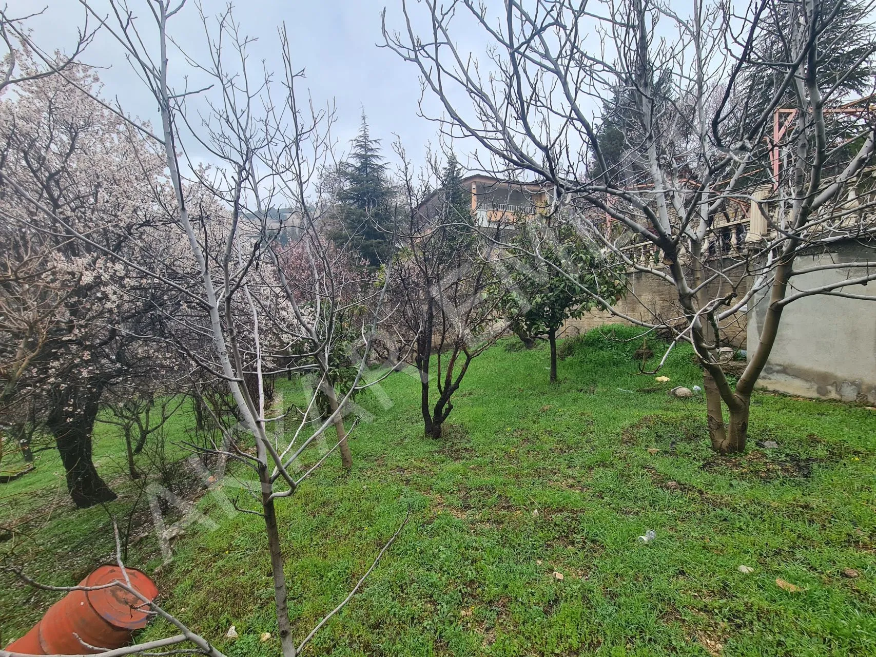 AKYAR EMLAK'DAN SARIKAYADA SATILIK BAĞ — 10