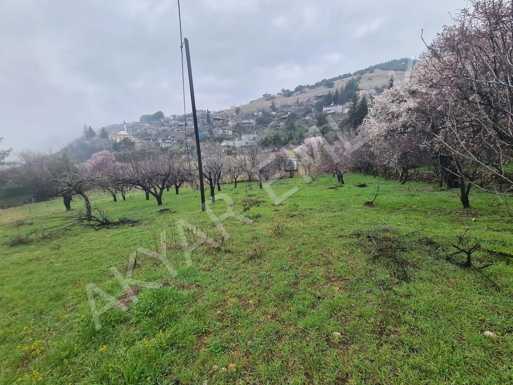 AKYAR EMLAK'DAN SARIKAYADA SATILIK BAĞ — 9