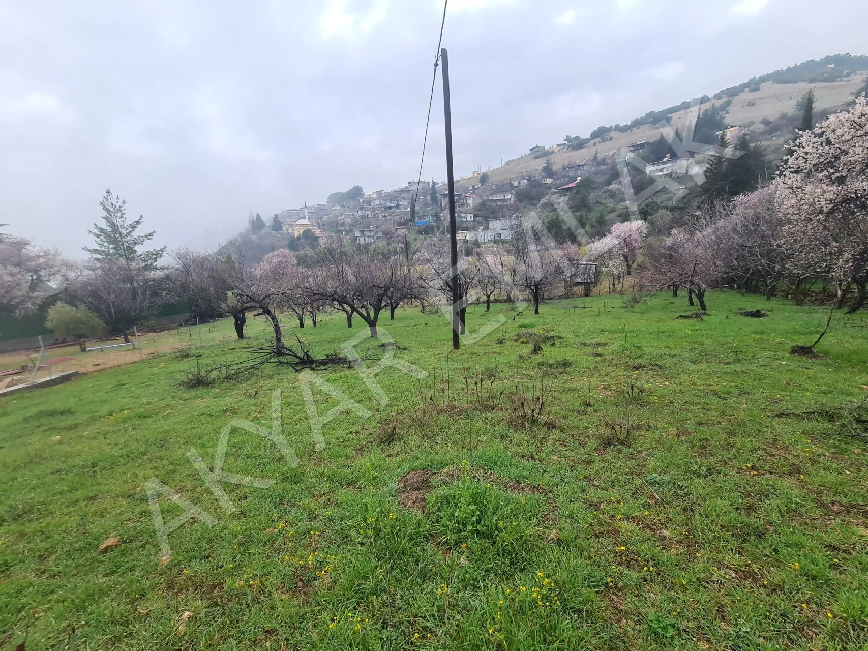 AKYAR EMLAK'DAN SARIKAYADA SATILIK BAĞ — 8