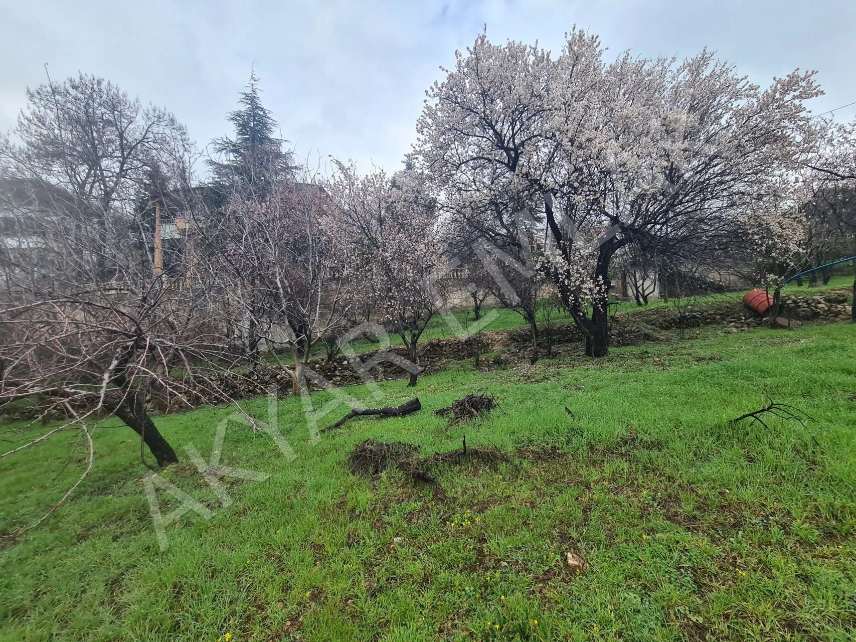 AKYAR EMLAK'DAN SARIKAYADA SATILIK BAĞ — 3
