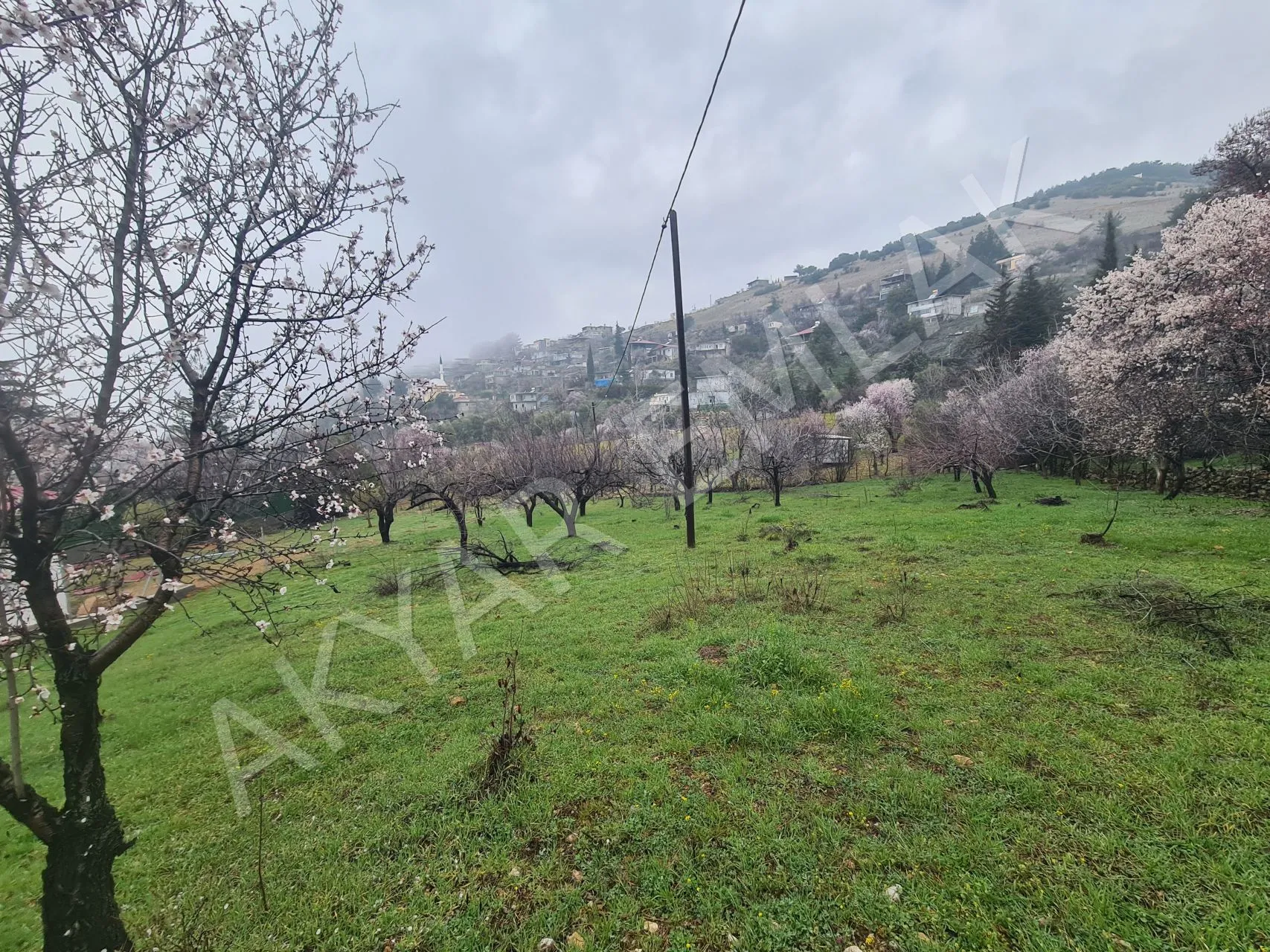 AKYAR EMLAK'DAN SARIKAYADA SATILIK BAĞ — 2