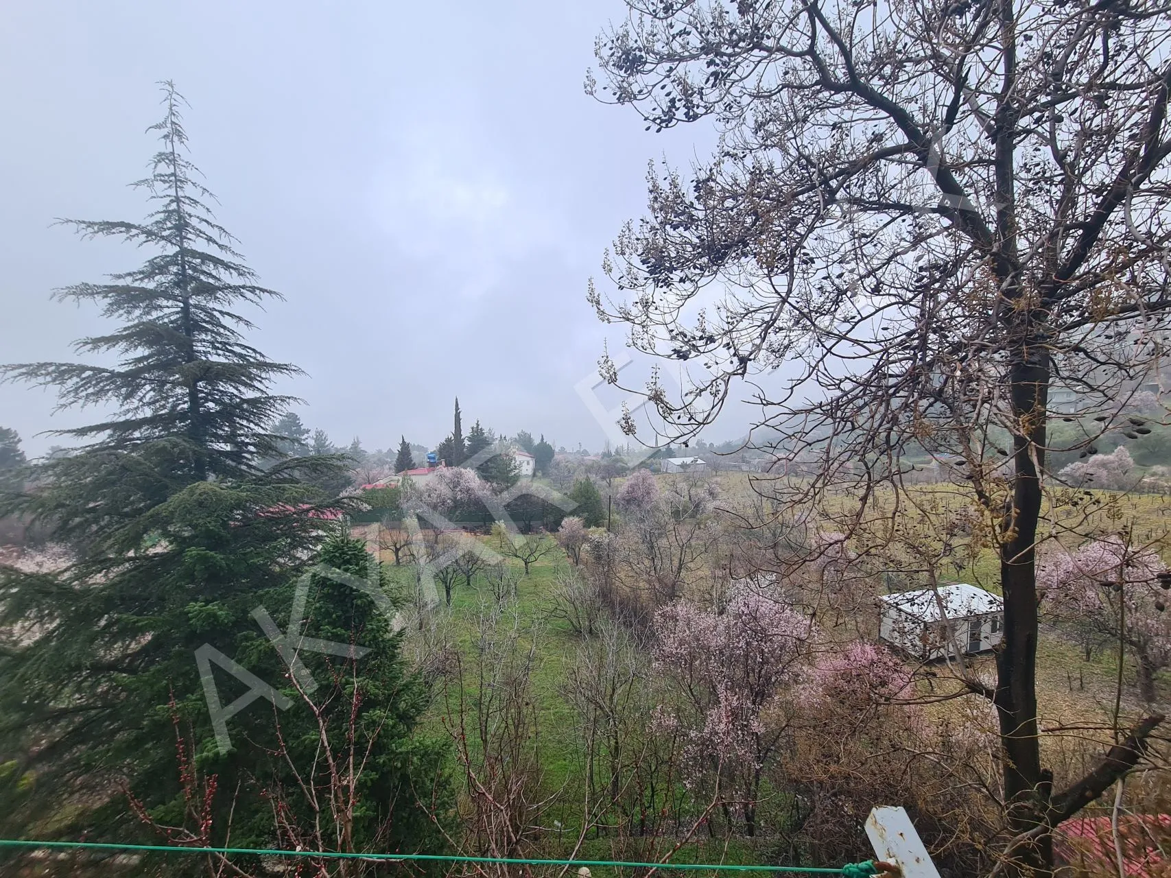 AKYAR EMLAK'DAN SARIKAYADA SATILIK BAĞ — 15