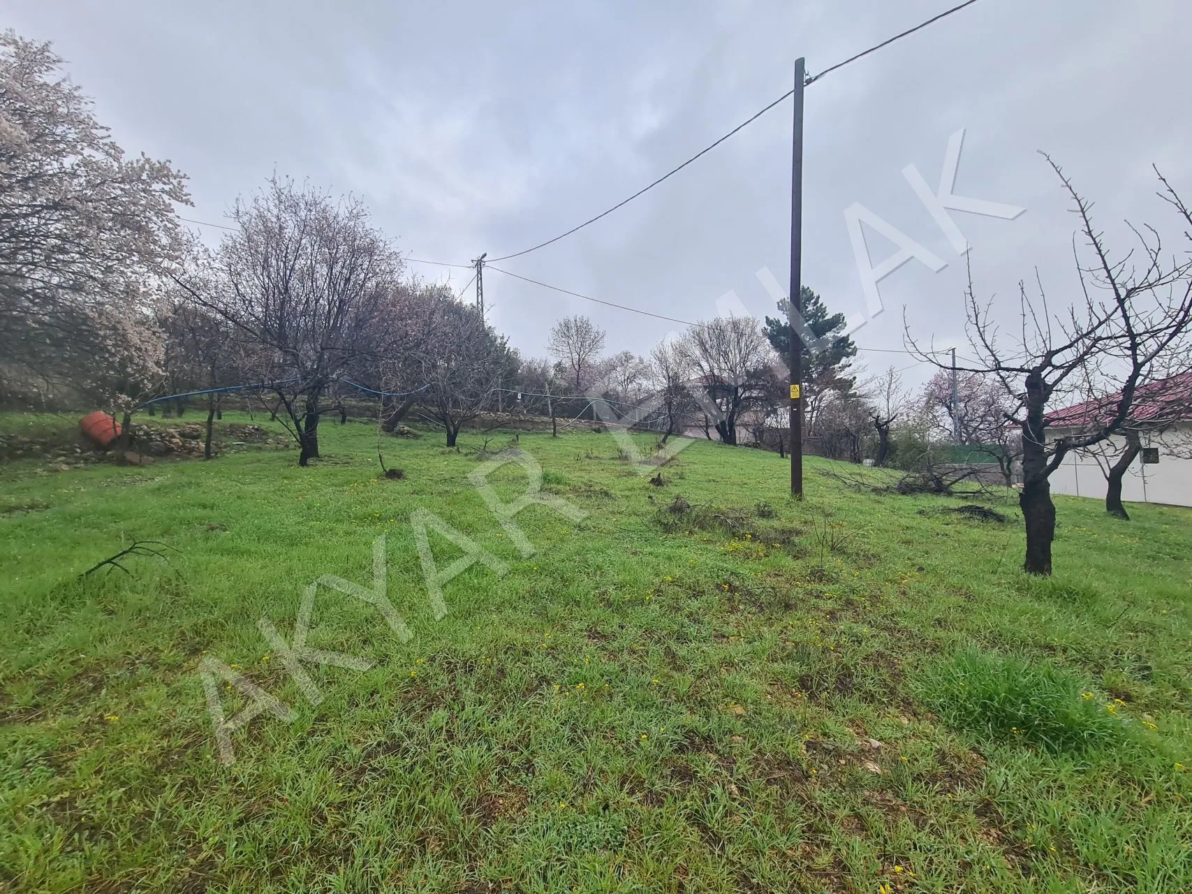 AKYAR EMLAK'DAN SARIKAYADA SATILIK BAĞ — 4