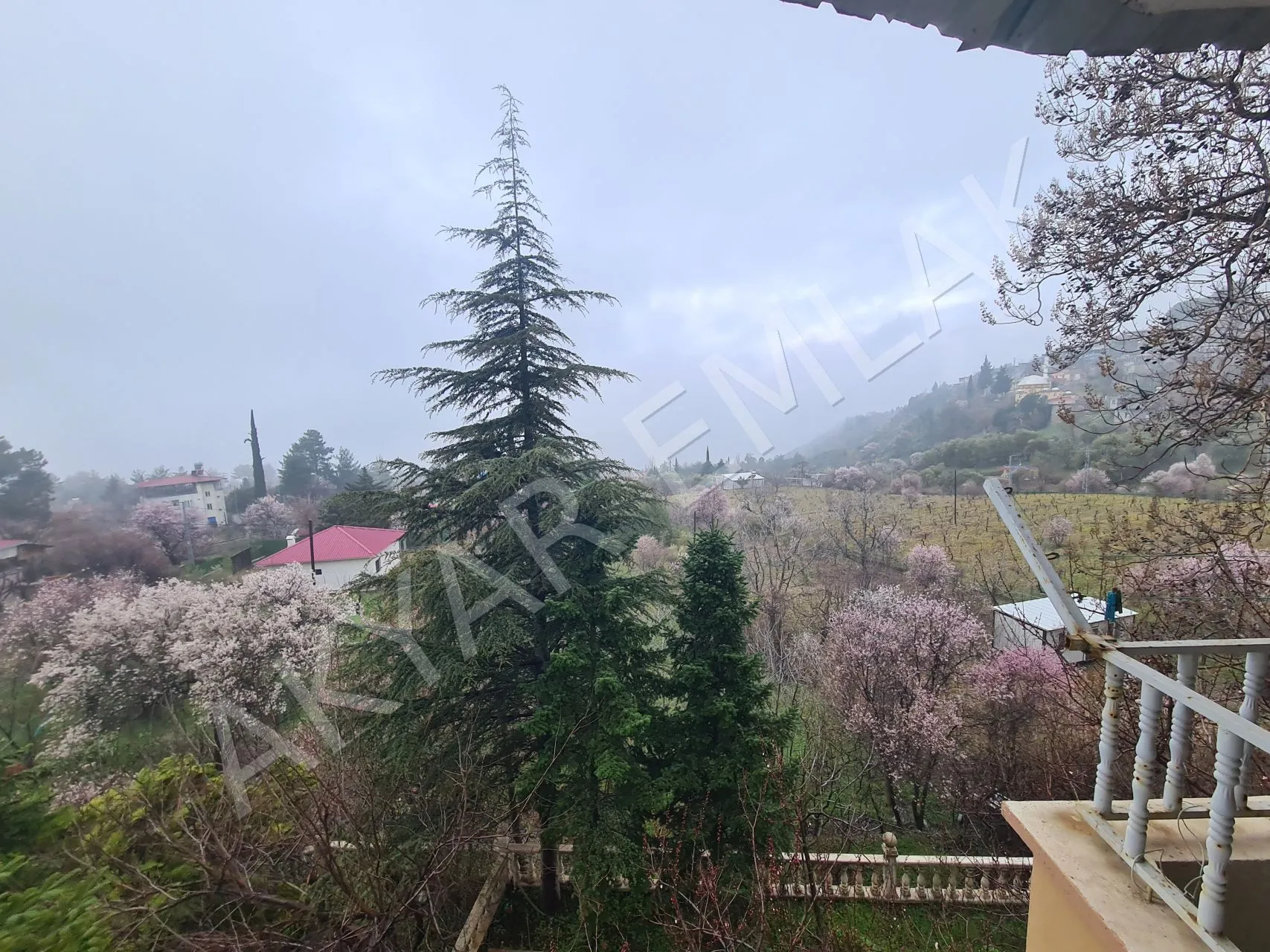 AKYAR EMLAK'DAN SARIKAYADA SATILIK BAĞ — 16