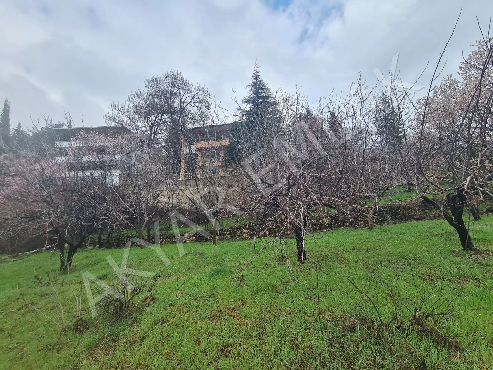 AKYAR EMLAK'DAN SARIKAYADA SATILIK BAĞ — 6