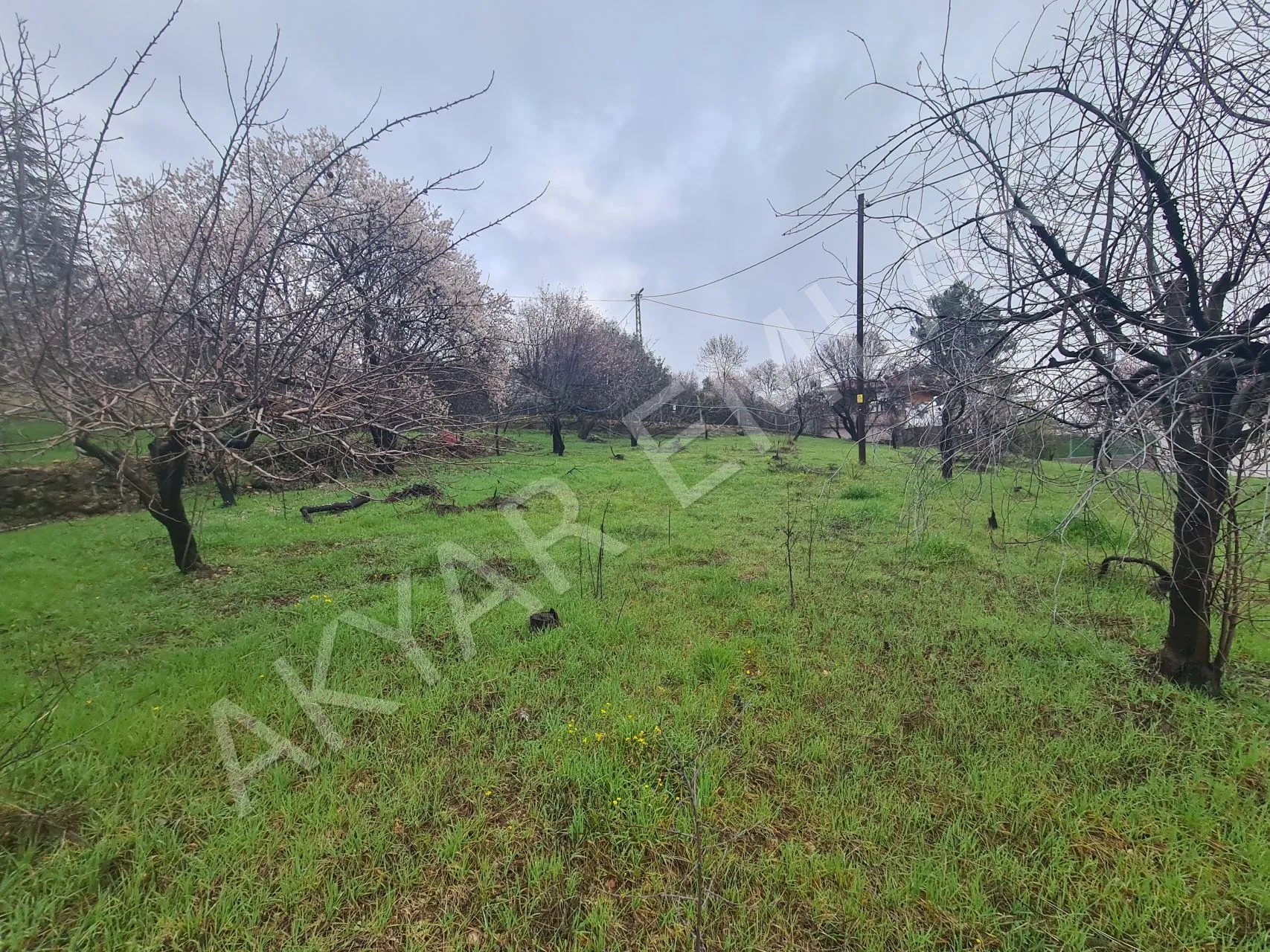 AKYAR EMLAK'DAN SARIKAYADA SATILIK BAĞ — 5