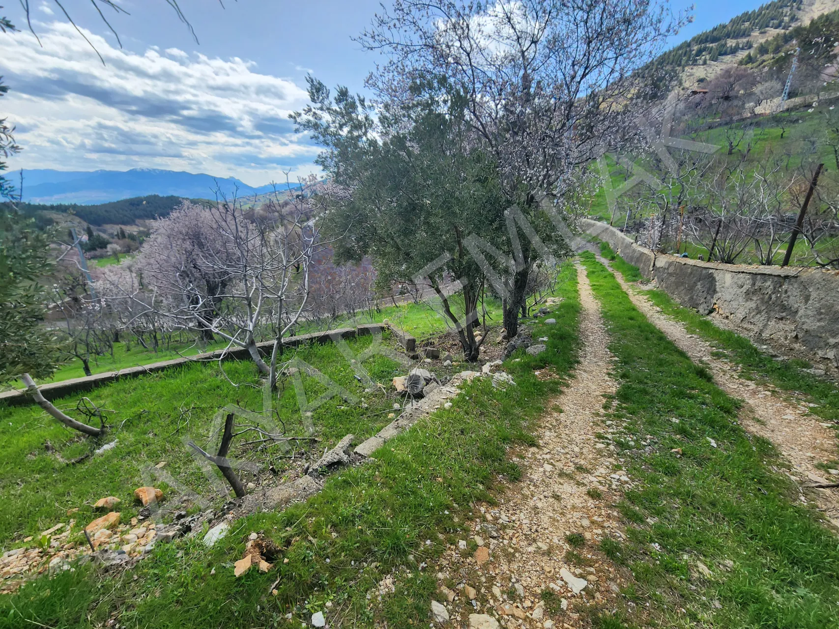 AKYAR EMLAK | KANDIL MEVKİİ’NDE MANZARALI SATILIK BAĞ YERİ — 20