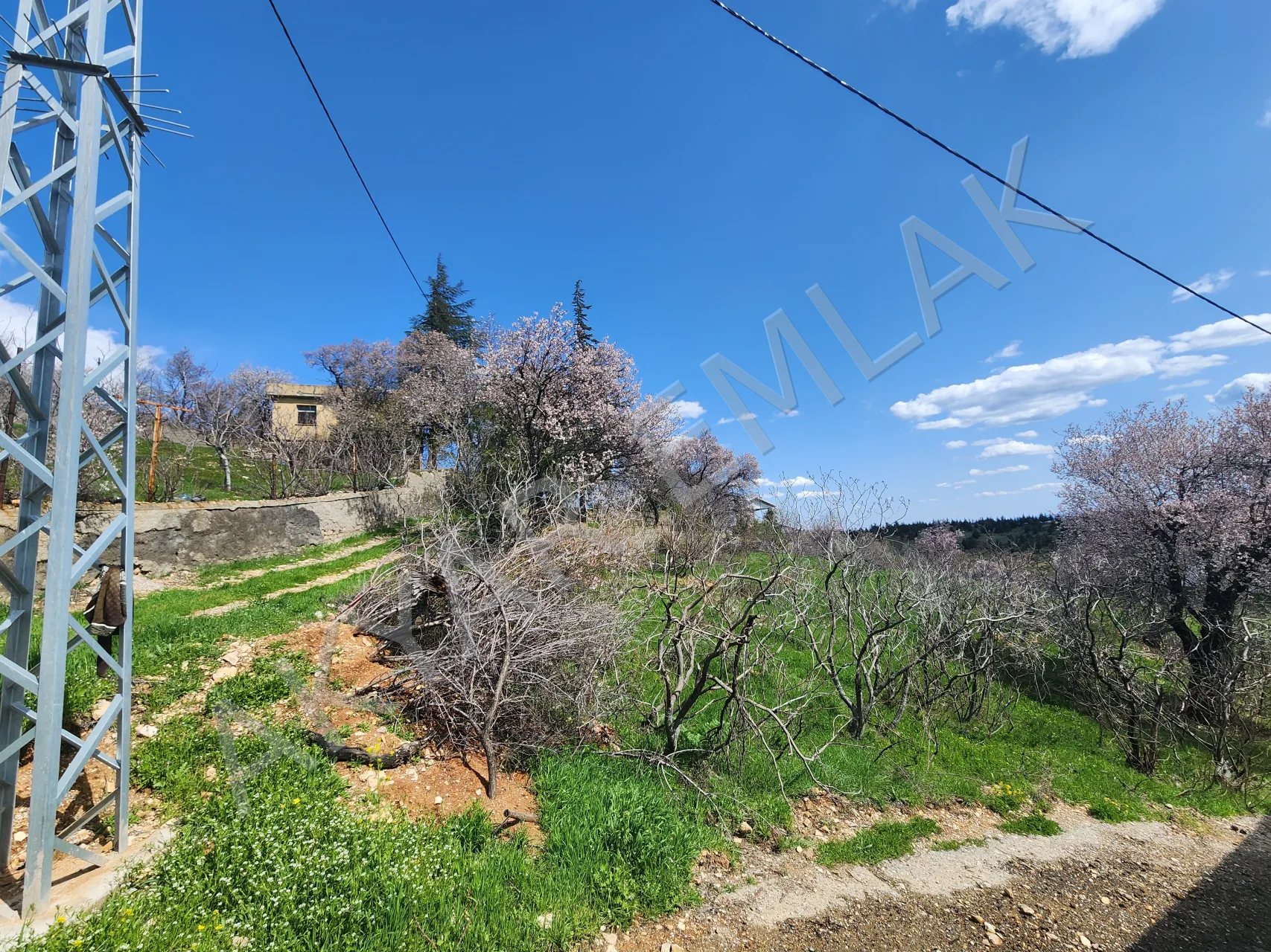 AKYAR EMLAK | KANDIL MEVKİİ’NDE MANZARALI SATILIK BAĞ YERİ — 15