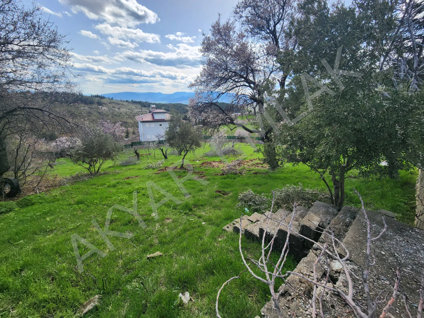 AKYAR EMLAK | KANDIL MEVKİİ’NDE MANZARALI SATILIK BAĞ YERİ — 24