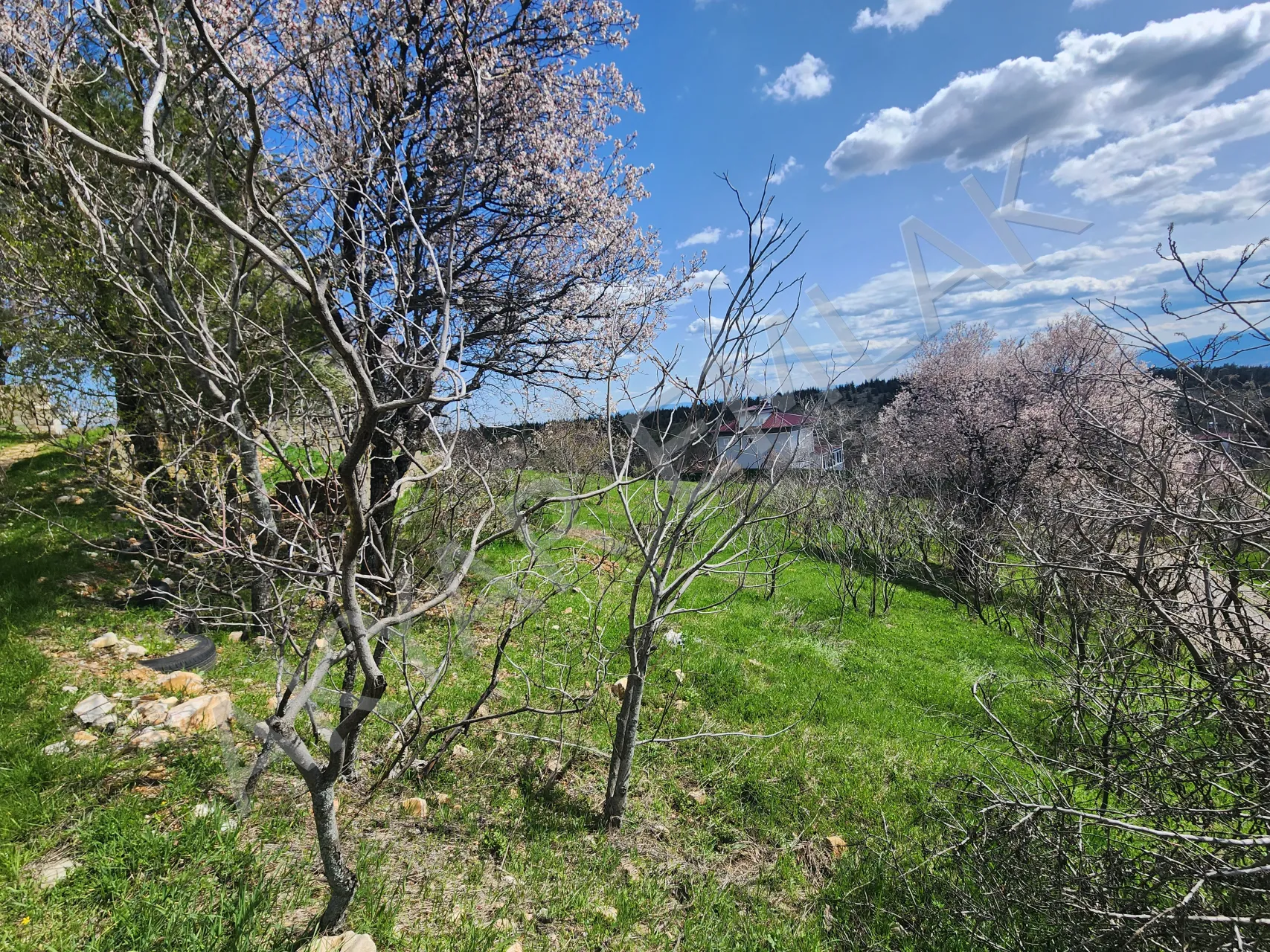 AKYAR EMLAK | KANDIL MEVKİİ’NDE MANZARALI SATILIK BAĞ YERİ — 19