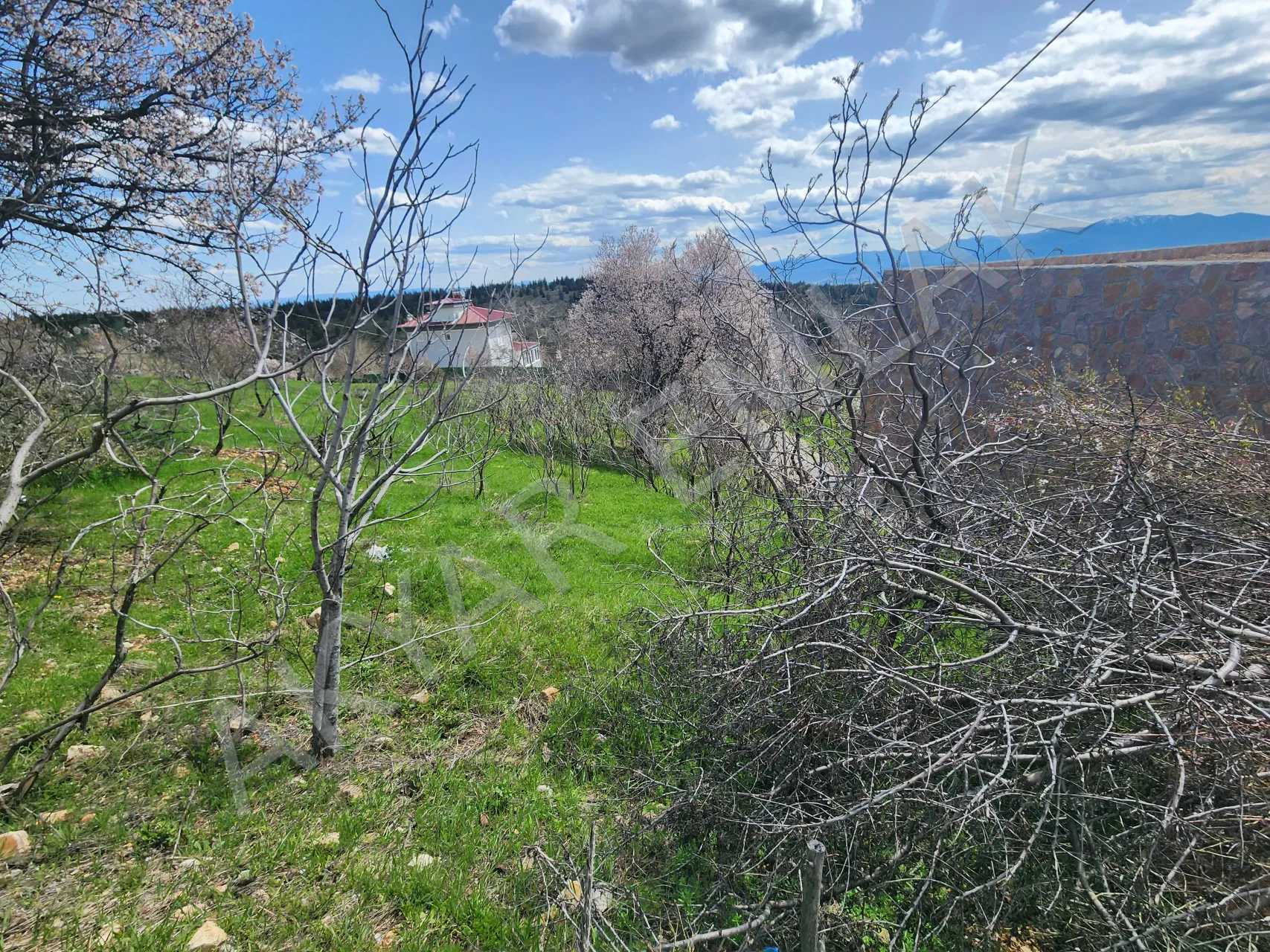AKYAR EMLAK | KANDIL MEVKİİ’NDE MANZARALI SATILIK BAĞ YERİ — 17