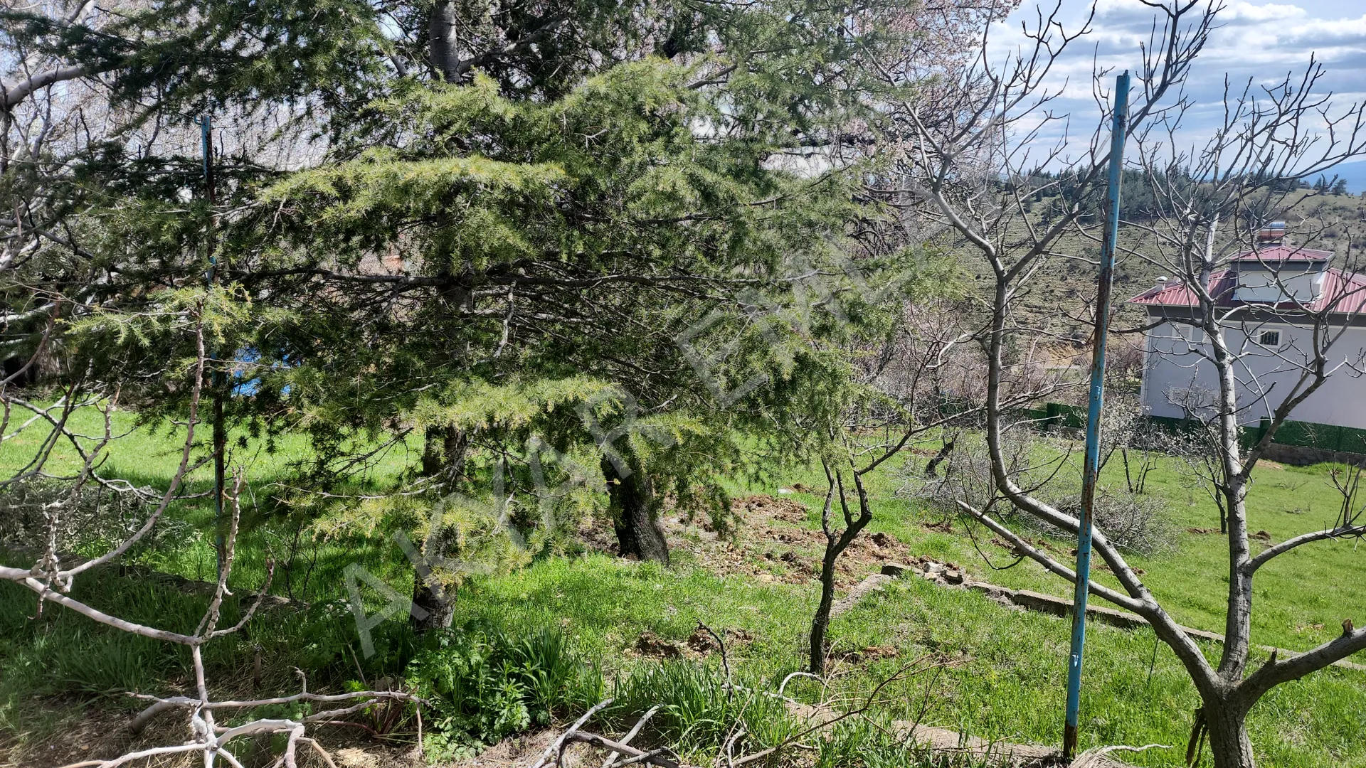 AKYAR EMLAK | KANDIL MEVKİİ’NDE MANZARALI SATILIK BAĞ YERİ — 42