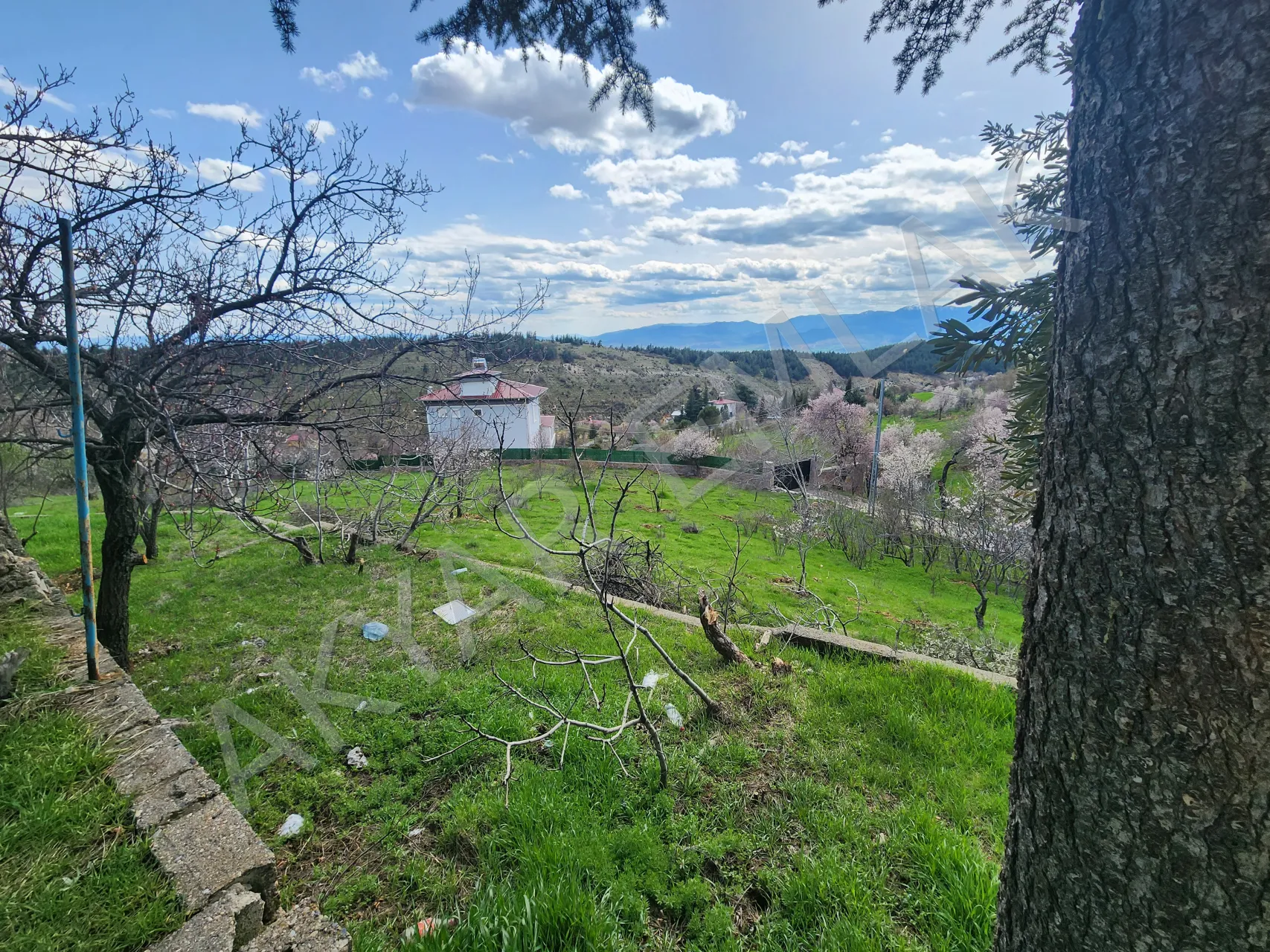 AKYAR EMLAK | KANDIL MEVKİİ’NDE MANZARALI SATILIK BAĞ YERİ — 23