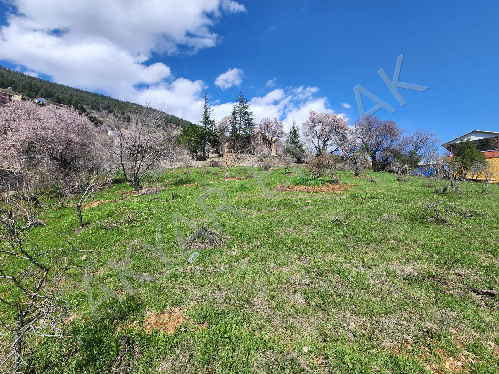 AKYAR EMLAK | KANDIL MEVKİİ’NDE MANZARALI SATILIK BAĞ YERİ — 8