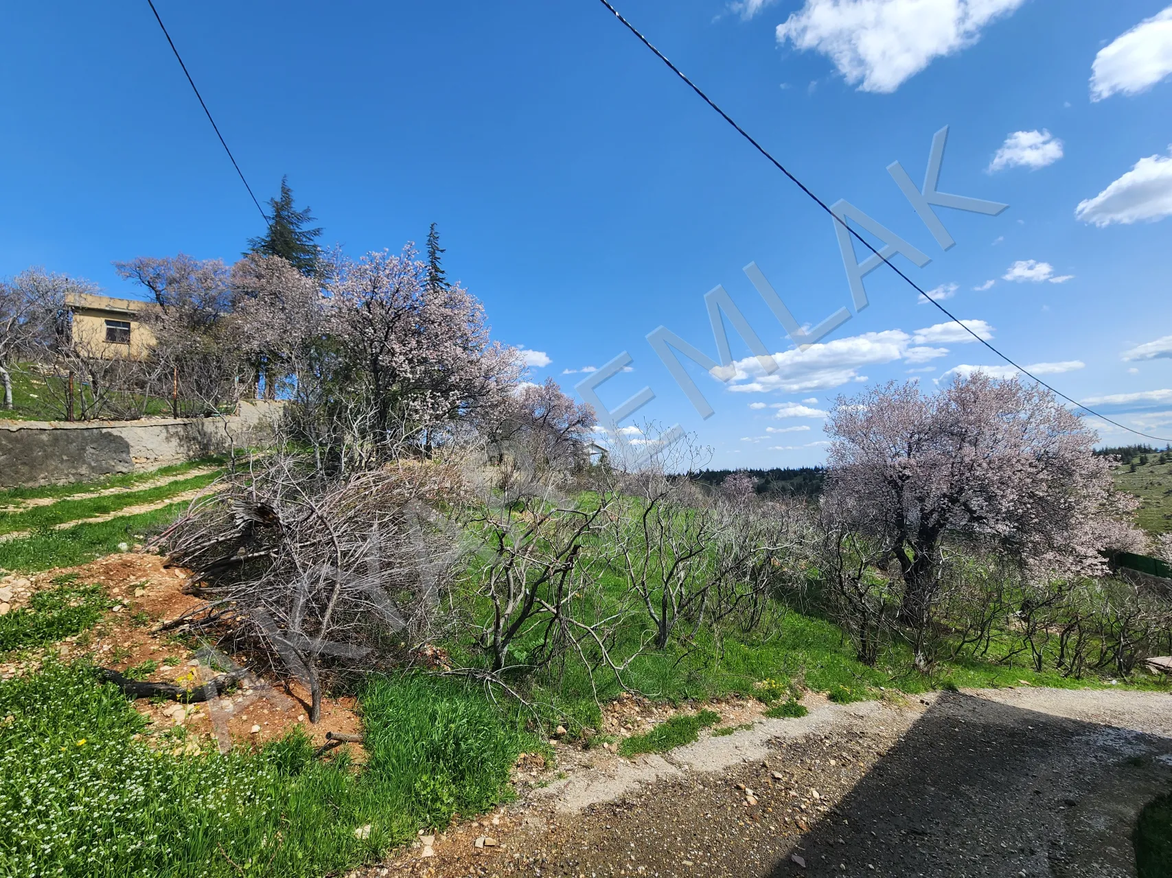 AKYAR EMLAK | KANDIL MEVKİİ’NDE MANZARALI SATILIK BAĞ YERİ — 16