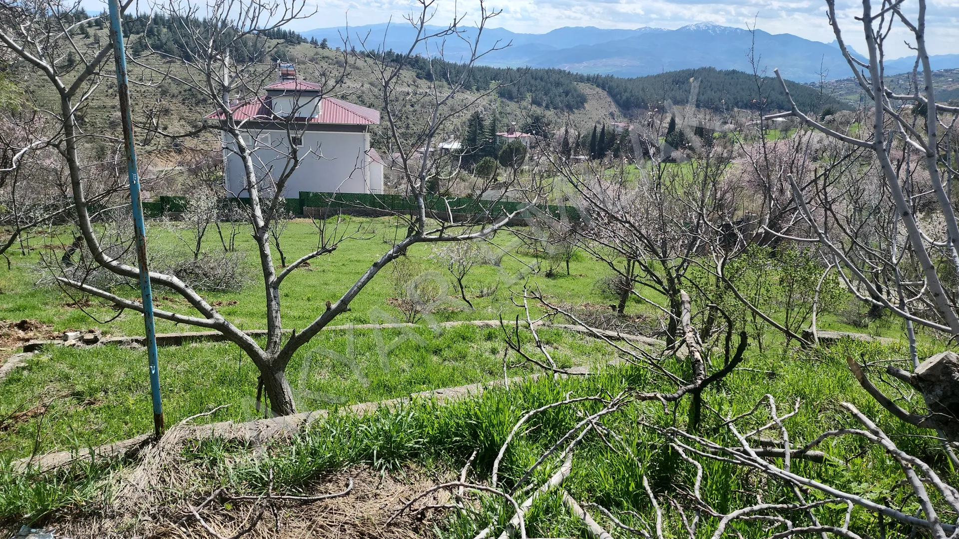 AKYAR EMLAK | KANDIL MEVKİİ’NDE MANZARALI SATILIK BAĞ YERİ — 43