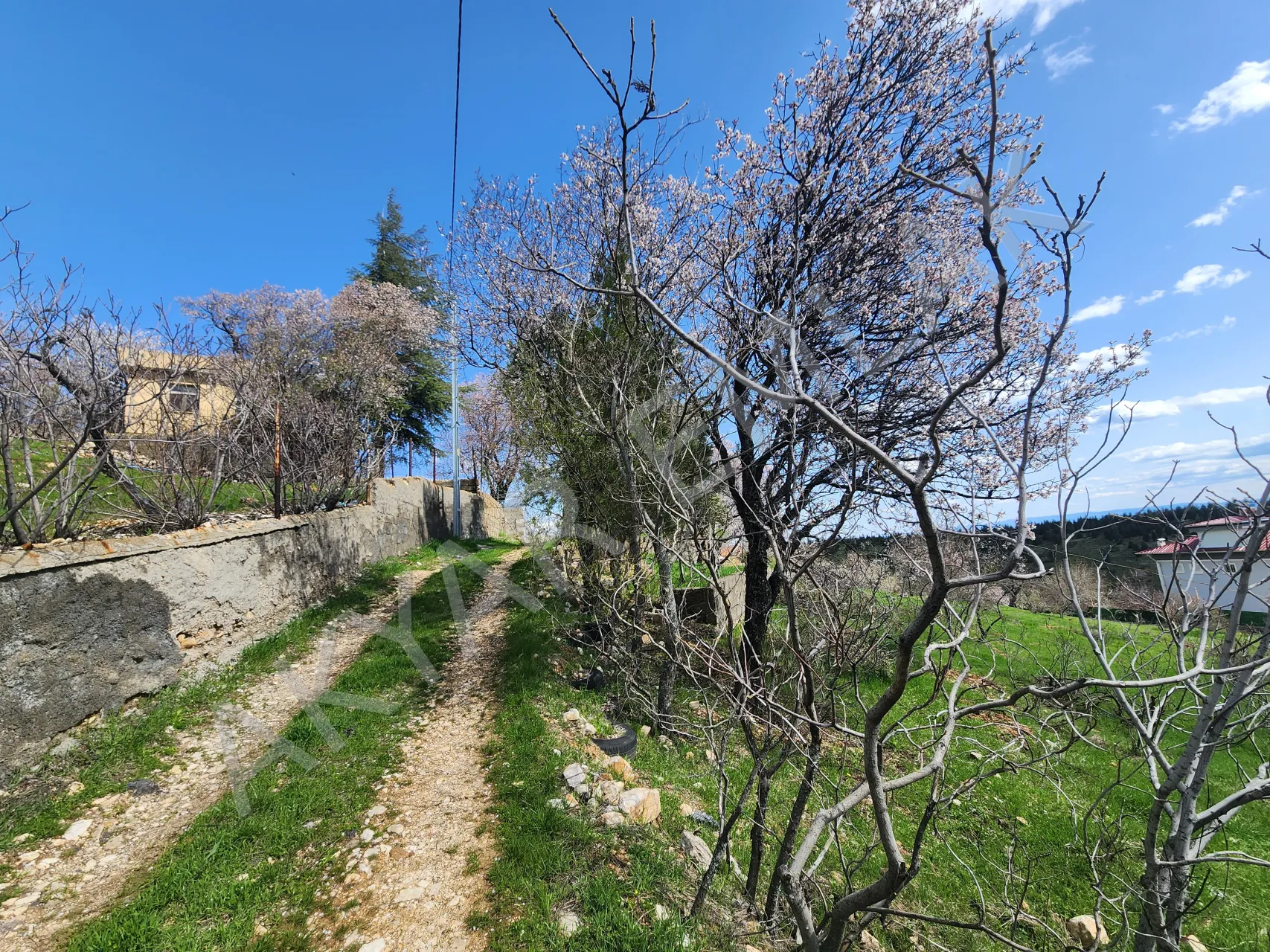 AKYAR EMLAK | KANDIL MEVKİİ’NDE MANZARALI SATILIK BAĞ YERİ — 18