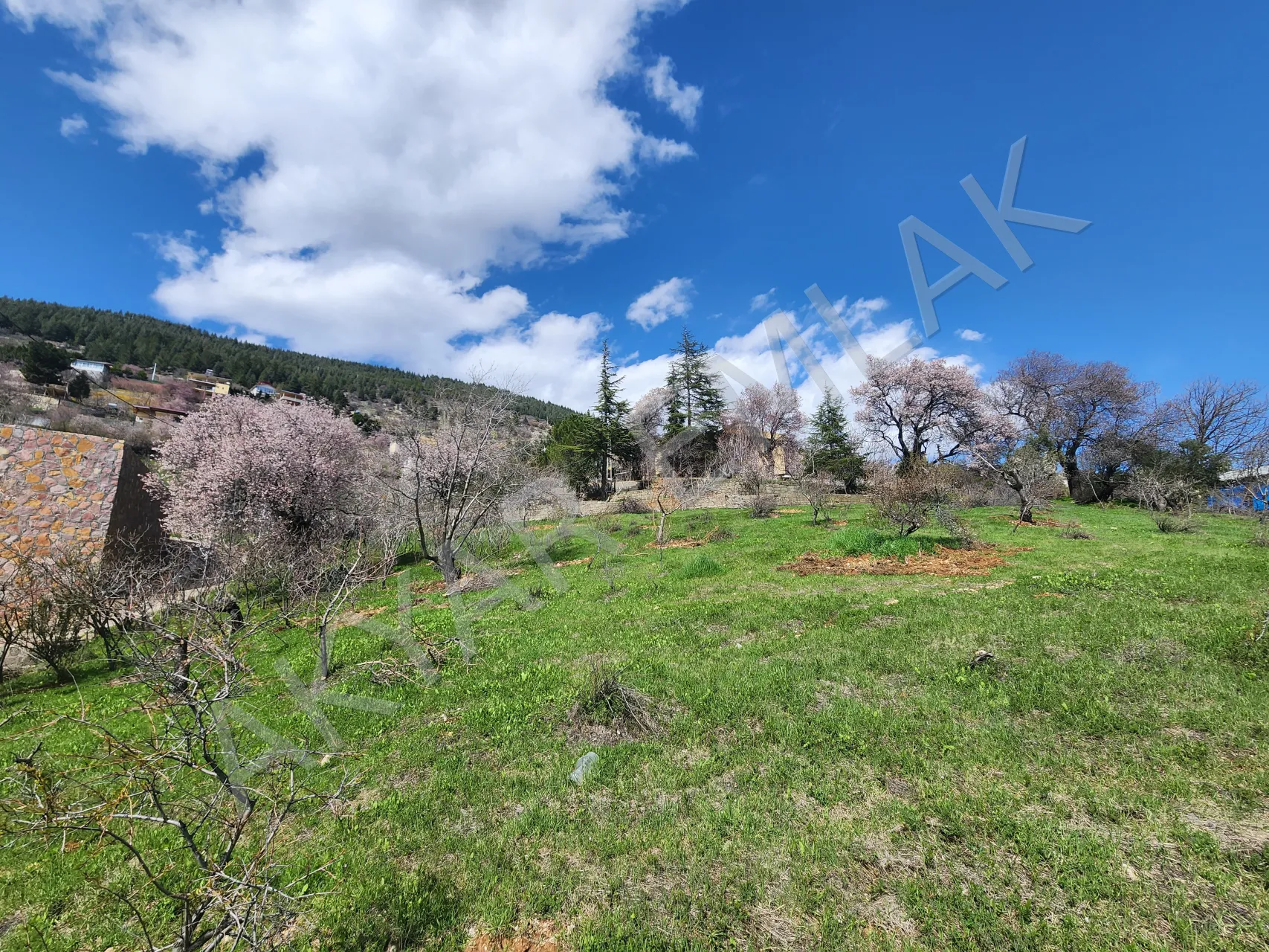 AKYAR EMLAK | KANDIL MEVKİİ’NDE MANZARALI SATILIK BAĞ YERİ — 11