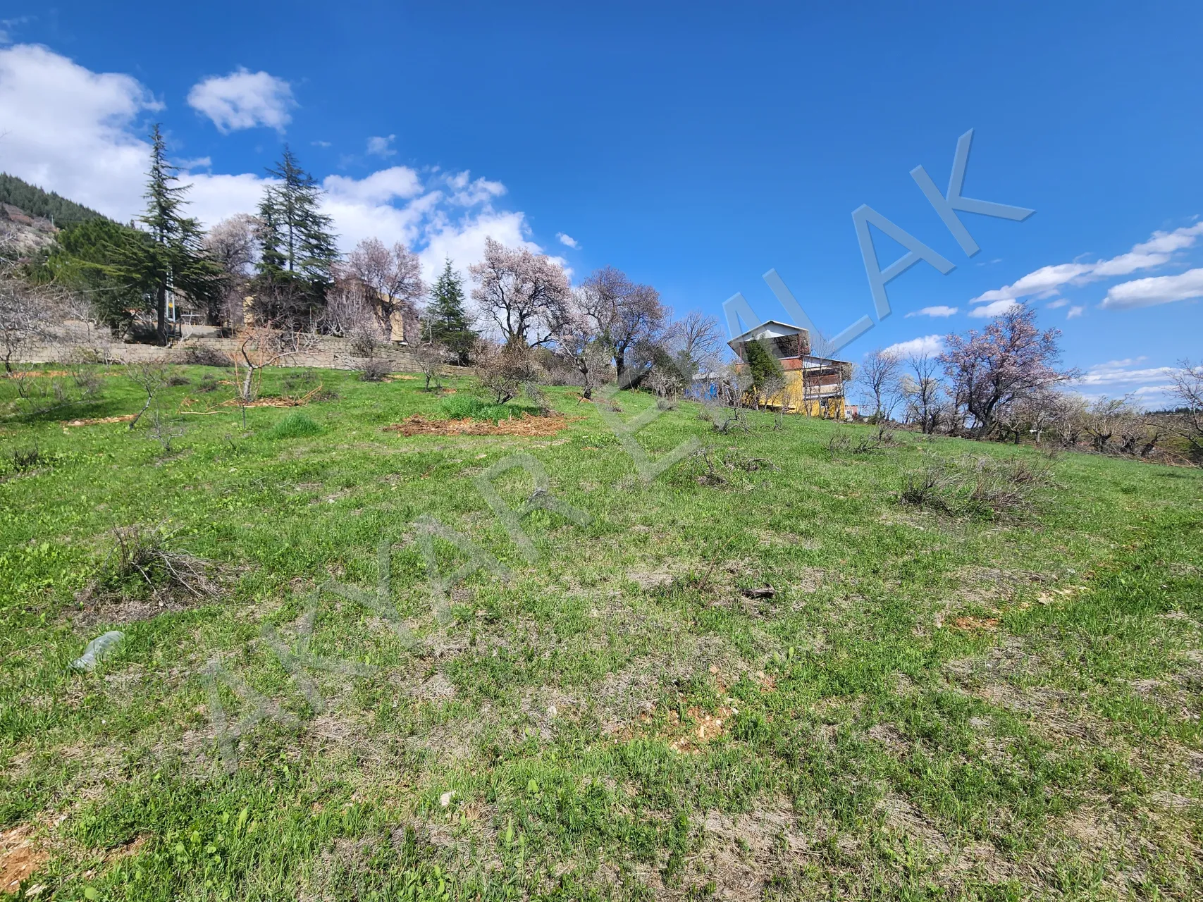 AKYAR EMLAK | KANDIL MEVKİİ’NDE MANZARALI SATILIK BAĞ YERİ — 12