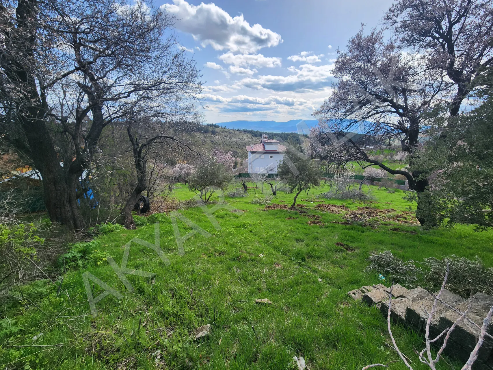 AKYAR EMLAK | KANDIL MEVKİİ’NDE MANZARALI SATILIK BAĞ YERİ — 27