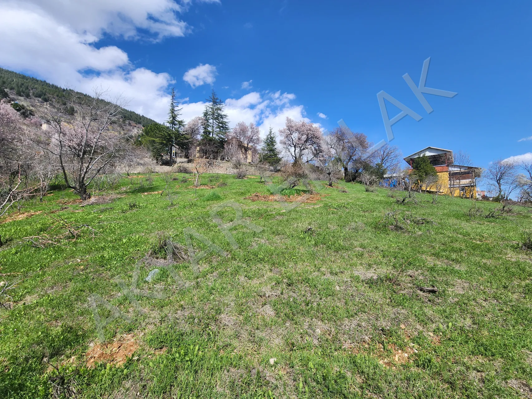 AKYAR EMLAK | KANDIL MEVKİİ’NDE MANZARALI SATILIK BAĞ YERİ — 7