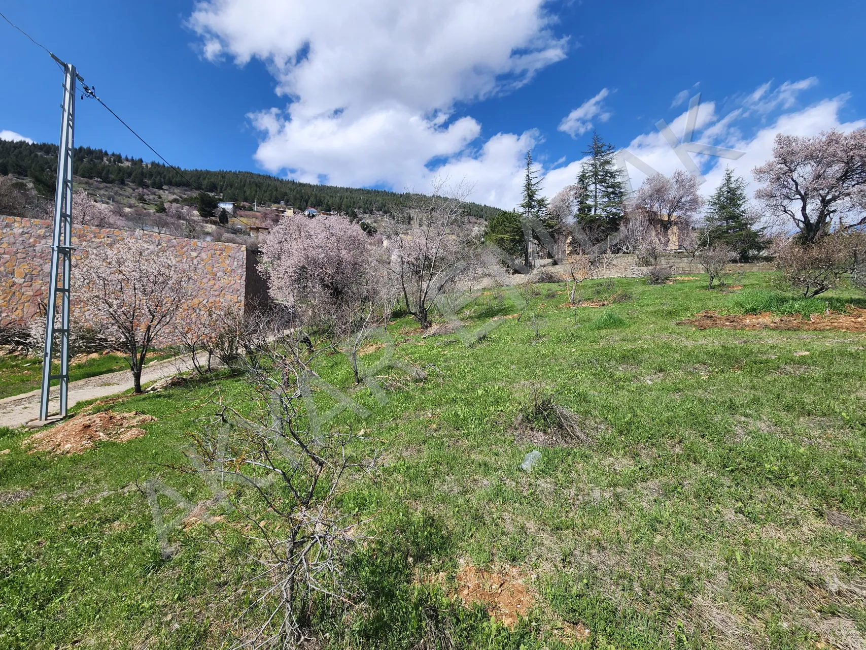 AKYAR EMLAK | KANDIL MEVKİİ’NDE MANZARALI SATILIK BAĞ YERİ — 9