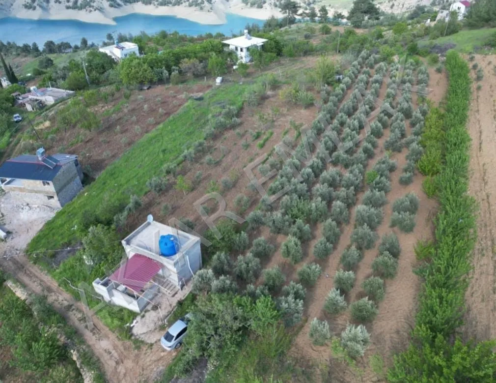AKYAR EMLAK Sarıçukur Baraja Yakın  Bağ Yazlık Satılık Bahçe — 5