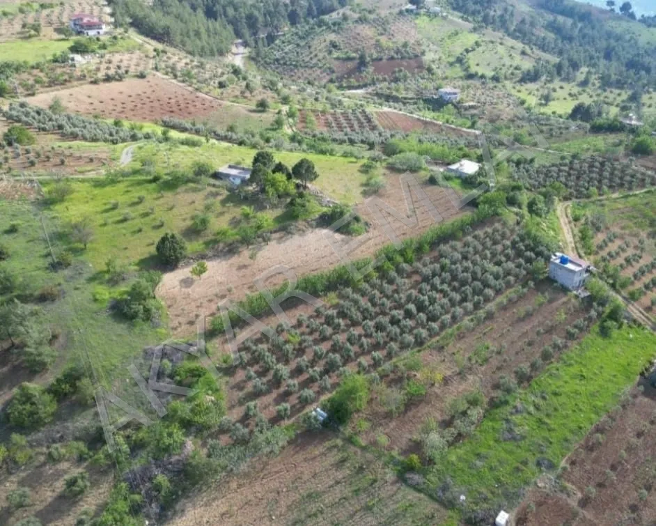 AKYAR EMLAK Sarıçukur Baraja Yakın  Bağ Yazlık Satılık Bahçe — 3