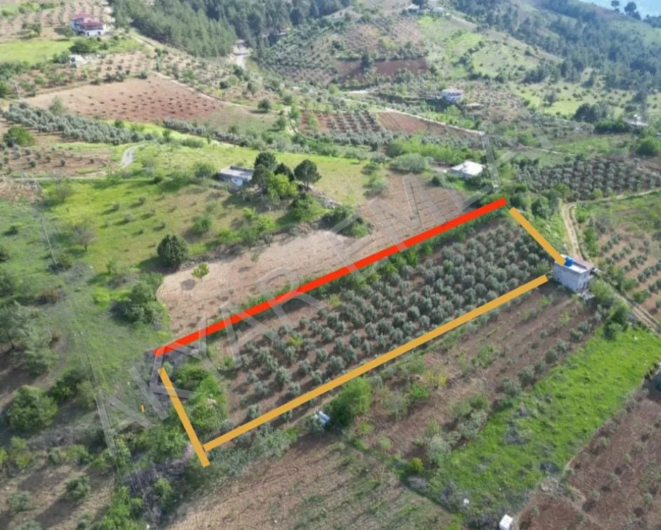 AKYAR EMLAK Sarıçukur Baraja Yakın  Bağ Yazlık Satılık Bahçe — 4