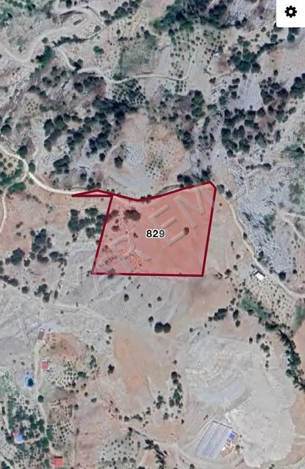 AKYAR EMLAK BULANIK TA MÜSTAKİL TAPULU ARAZİ BAĞ YAZLIK — 2