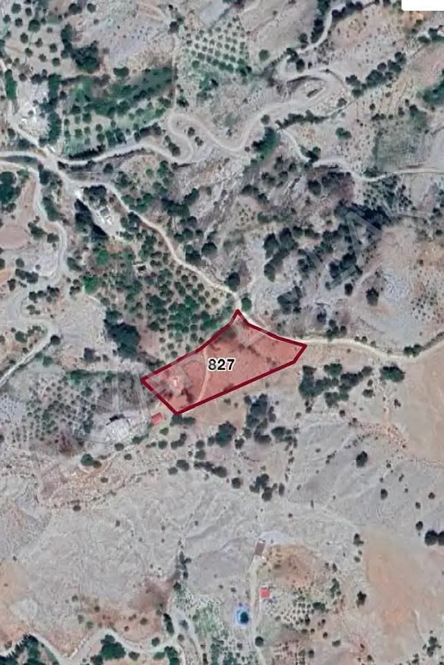 AKYAR EMLAK BULANIK TA MÜSTAKİL TAPULU ARAZİ BAĞ YAZLIK — 3