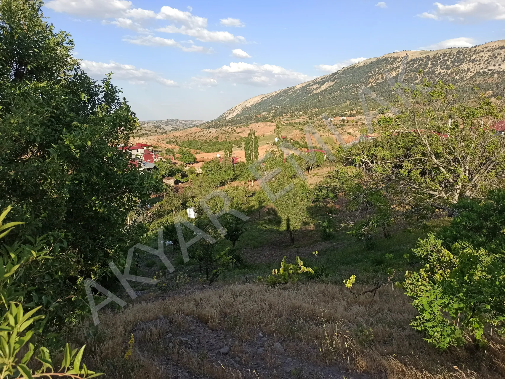 AKYAR EMLAK'DAN BEŞENLİ MAH. 1460 M2 TEK TAPU EV YERİ — 7