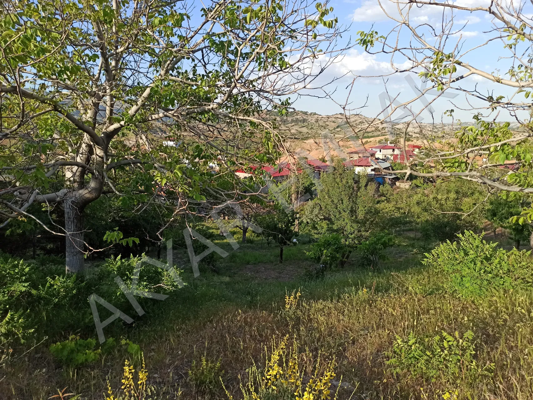 AKYAR EMLAK'DAN BEŞENLİ MAH. 1460 M2 TEK TAPU EV YERİ — 6