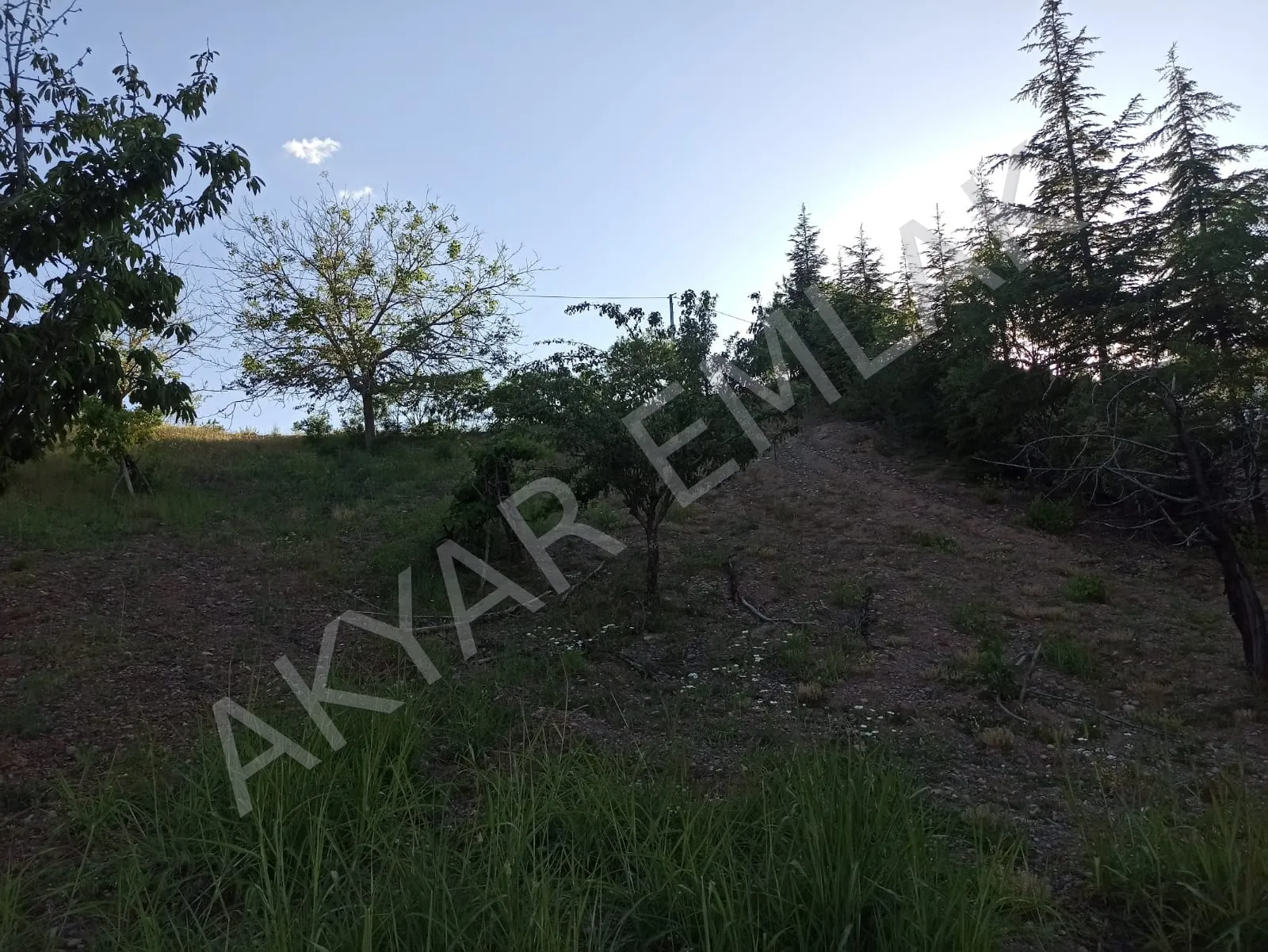 AKYAR EMLAK'DAN BEŞENLİ MAH. 1460 M2 TEK TAPU EV YERİ — 5