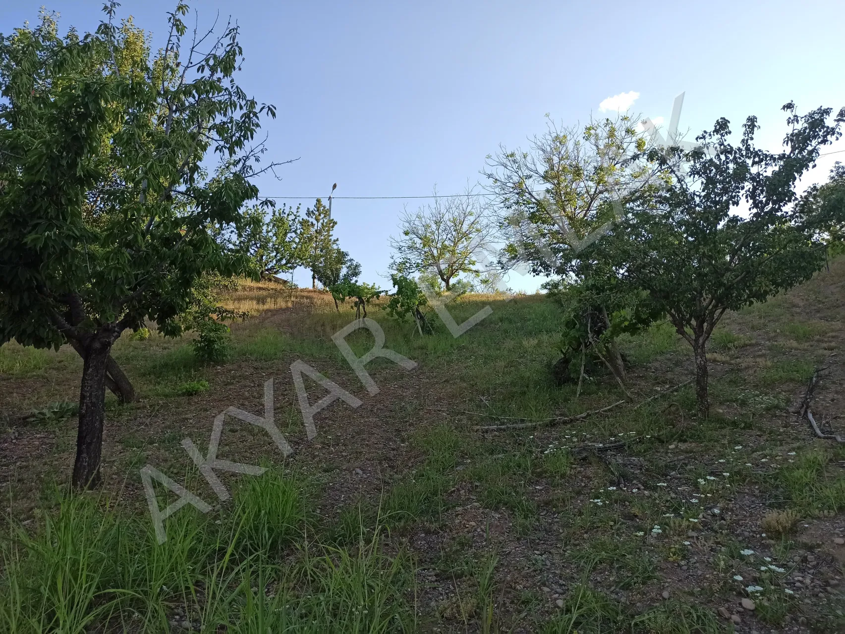 AKYAR EMLAK'DAN BEŞENLİ MAH. 1460 M2 TEK TAPU EV YERİ — 3